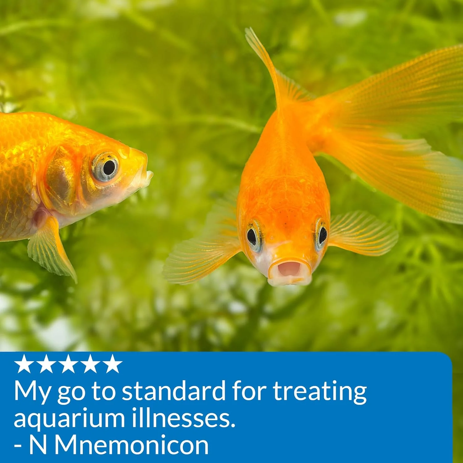 API PIMAFIX Antifungal Freshwater and Saltwater Fish Remedy - Image 7