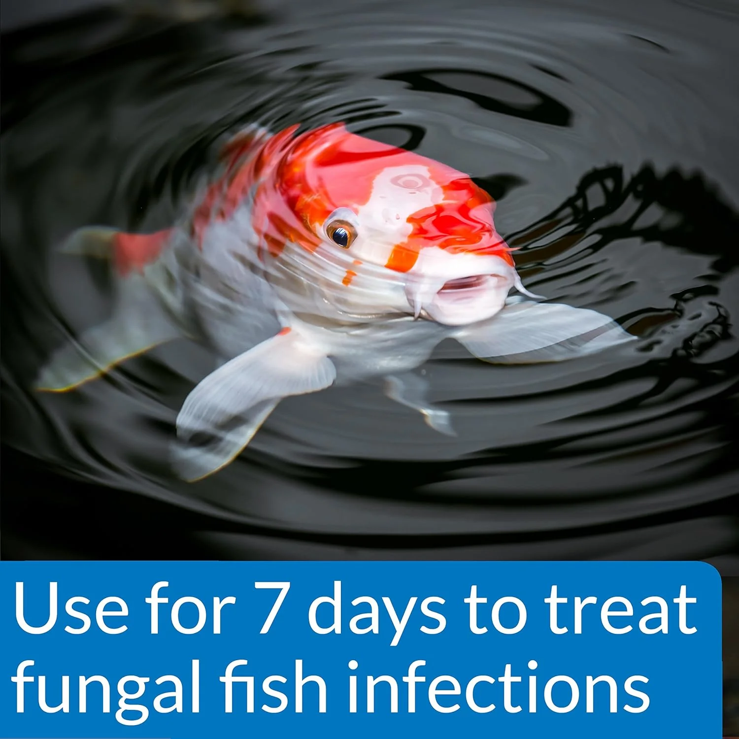 API POND PIMAFIX Antifungal Pond Fish Infection Remedy - Image 3