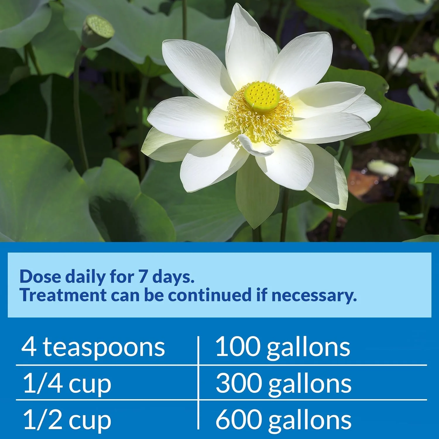 API POND PIMAFIX Antifungal Pond Fish Infection Remedy - Image 6