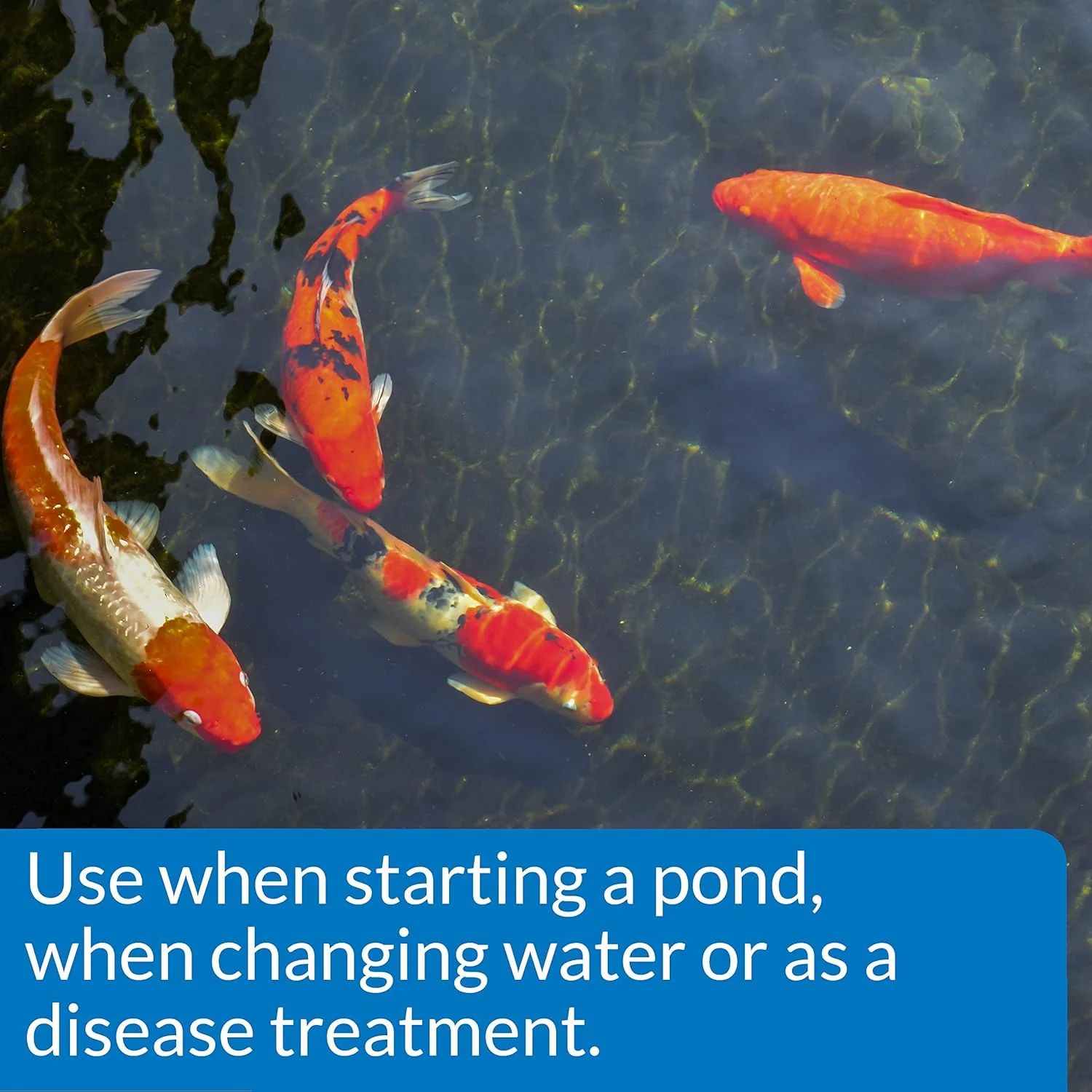 API POND SALT Pond Water Salt - Image 3