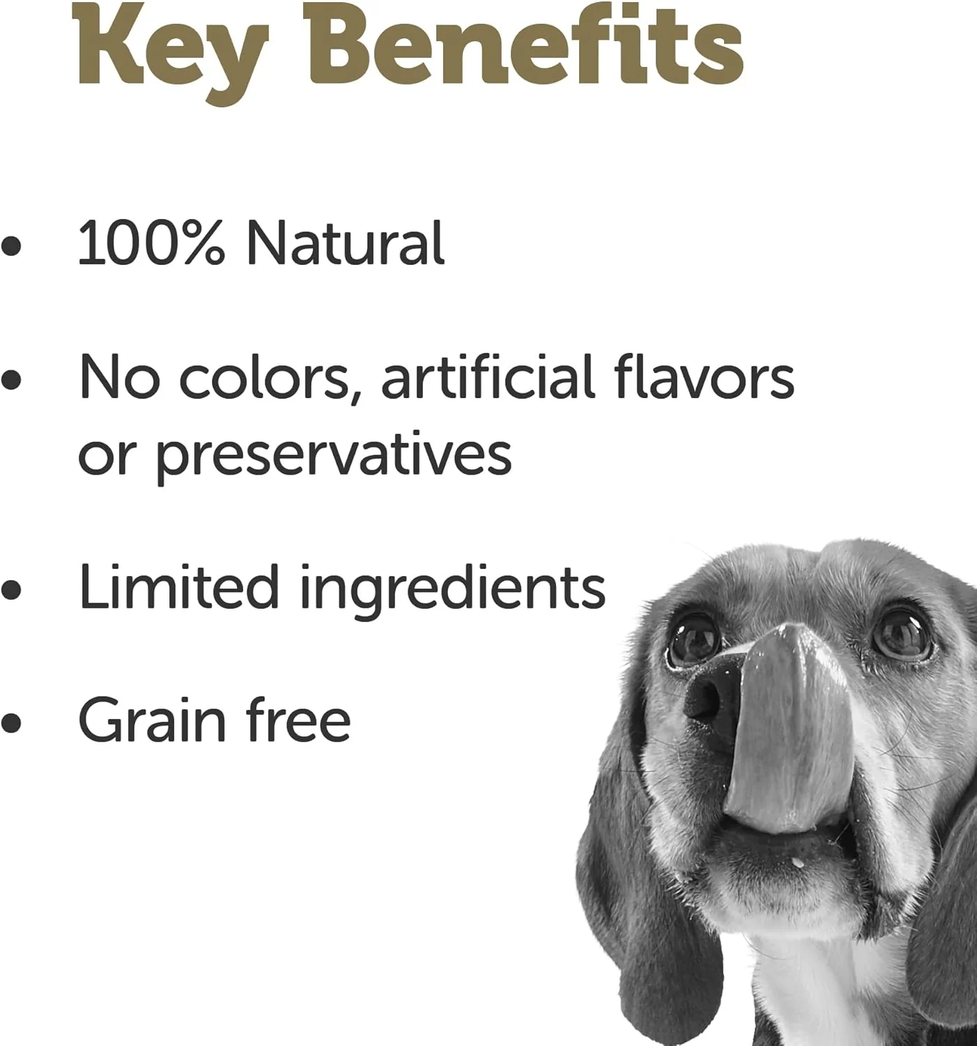 Applaws Taste Toppers, Bone Broth for Dogs, Natural Dog Food Topper, 6 Count, Limited Ingredient, Grain Free, Meal Topper for Dogs, Chicken Bone Broth with Turmeric & Parsley - Image 4