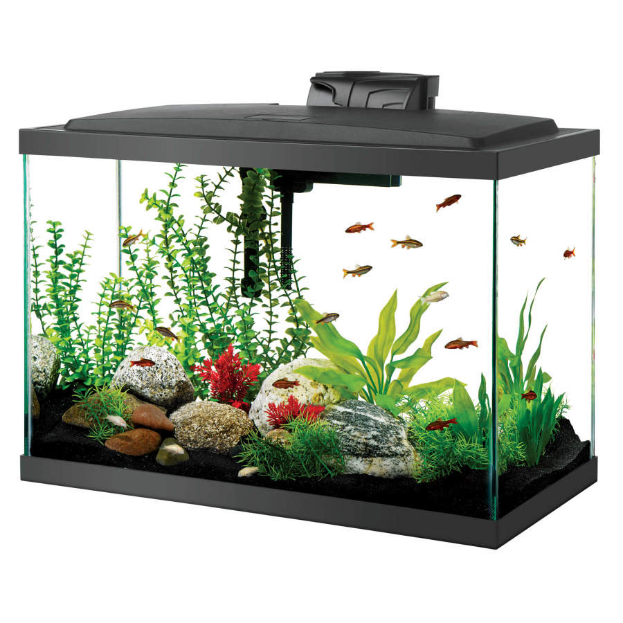 Aqueon Glass Aquarium Fish Tank Starter Kit with LED Lighting - Image 2