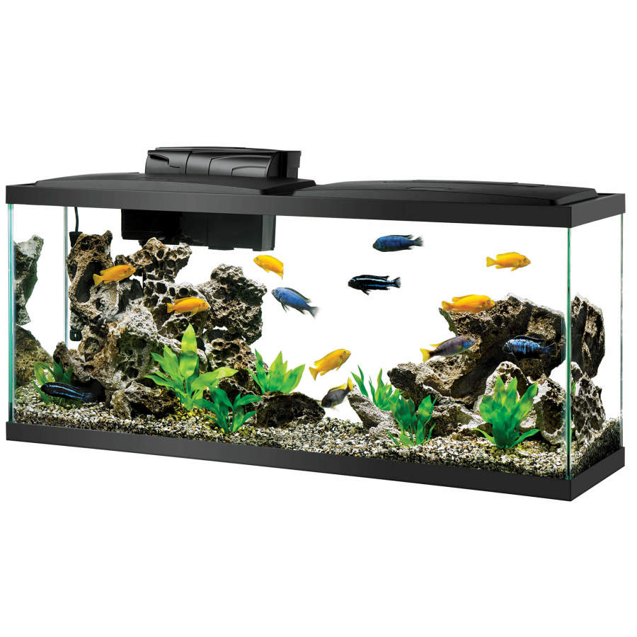 Aqueon Glass Aquarium Fish Tank Starter Kit with LED Lighting - Image 4