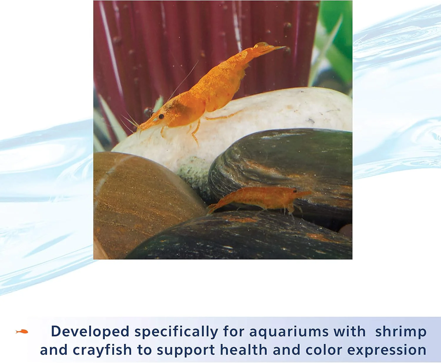 Aqueon Shrimp Tank Plus 4 Fluid Ounces - Image 6