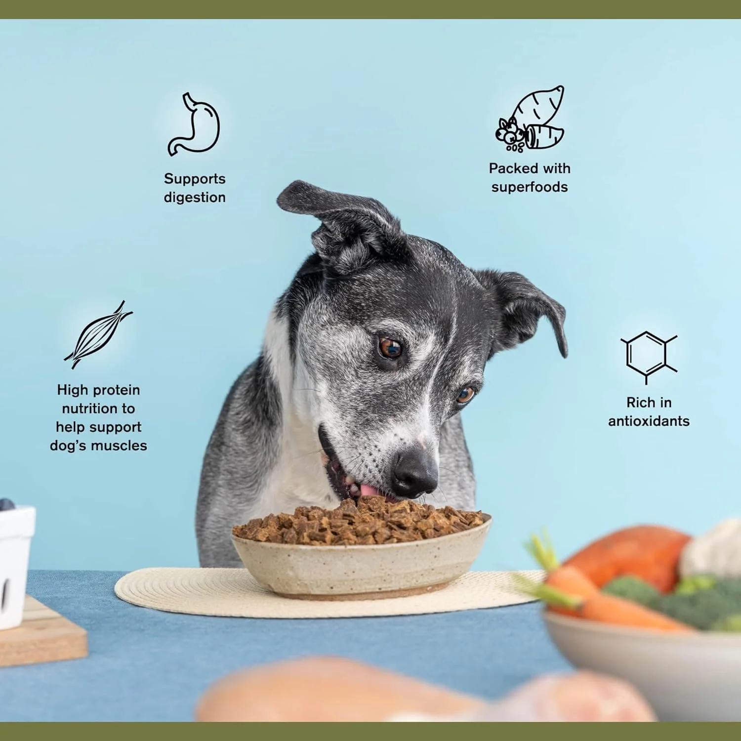 BADLANDS RANCH - Superfood Complete, Air-Dried Adult Dog Food - High Protein, Zero Fillers, Superfood Nutrition by Katherine Heigl (11.5 oz, Lamb & Venison) - Image 5