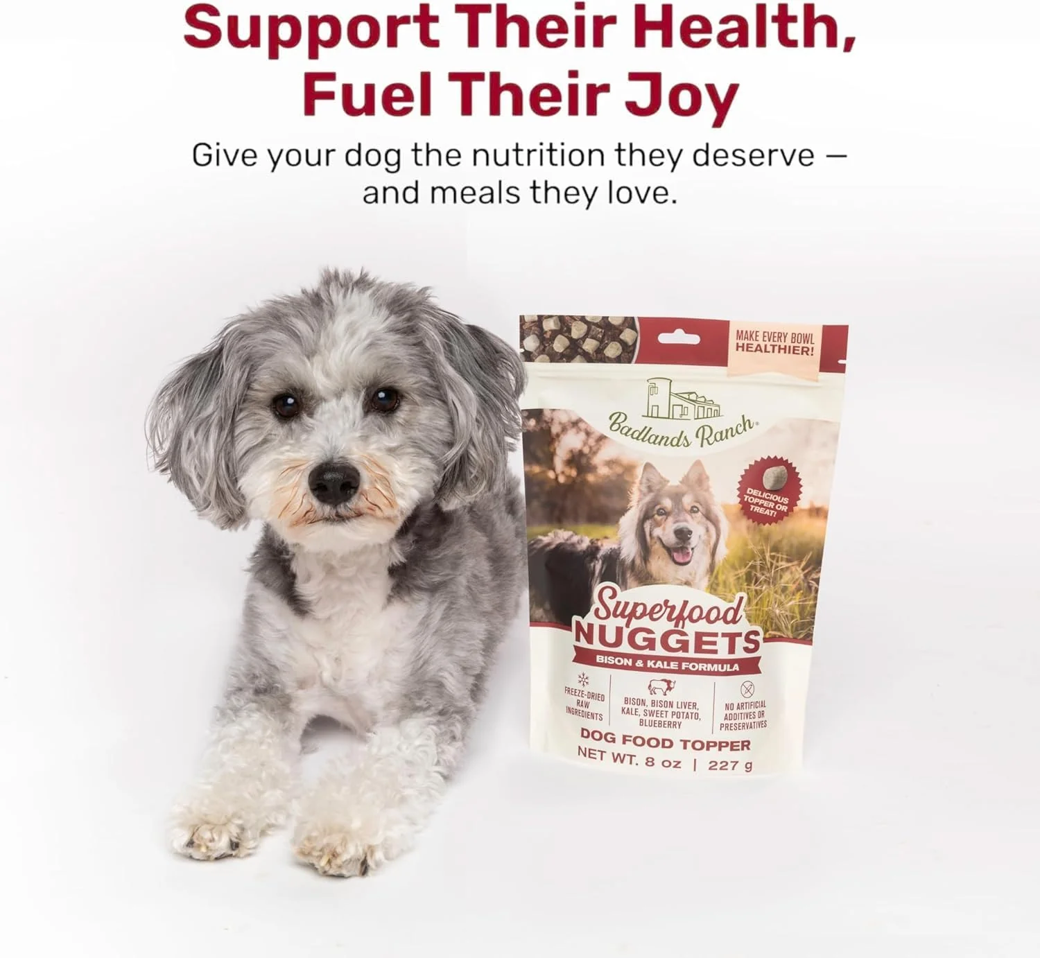 BADLANDS RANCH Superfood Nuggets – Bison & Kale Freeze-Dried Dog Treats (8 oz Bag) - Image 5