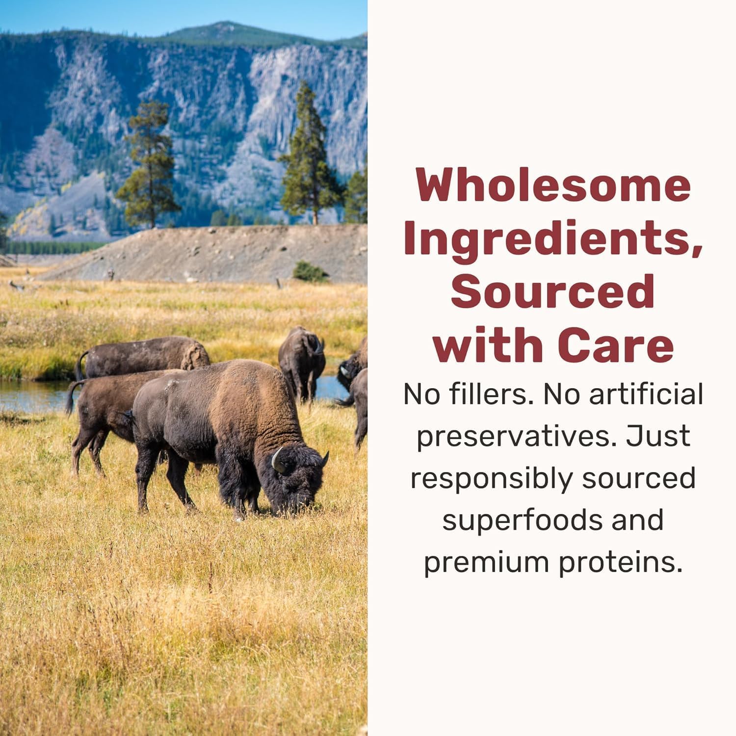 BADLANDS RANCH Superfood Nuggets – Bison & Kale Freeze-Dried Dog Treats (8 oz Bag) - Image 7