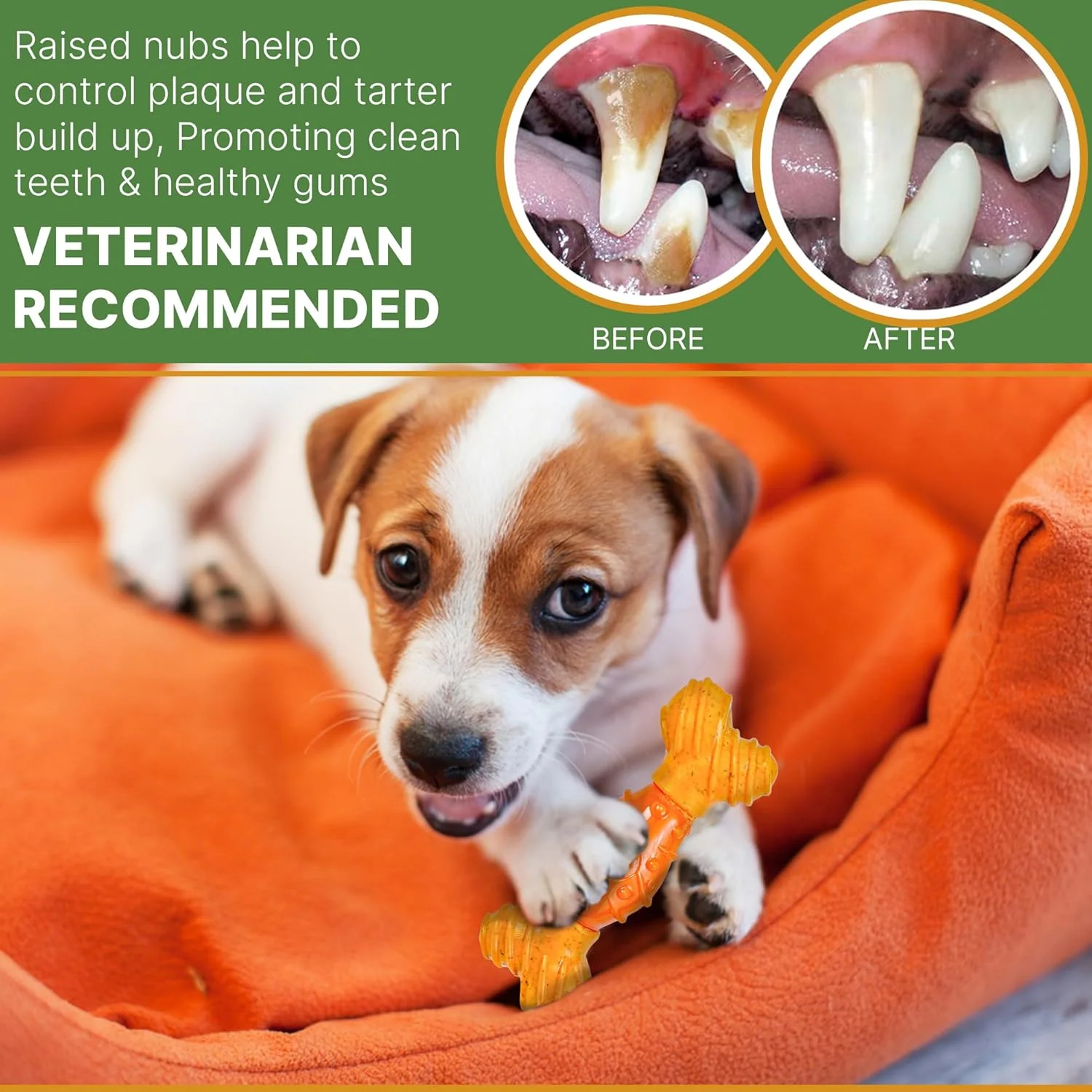 SPOT Bam-Bones Dental Bone - Made with Bamboo Fiber and a Massaging Rubber Center, Durable Oral Care Dog Chew for Light Chewers & Teething Puppies Under 25lbs, Allergen Free Peanut Butter Flavor - Image 7