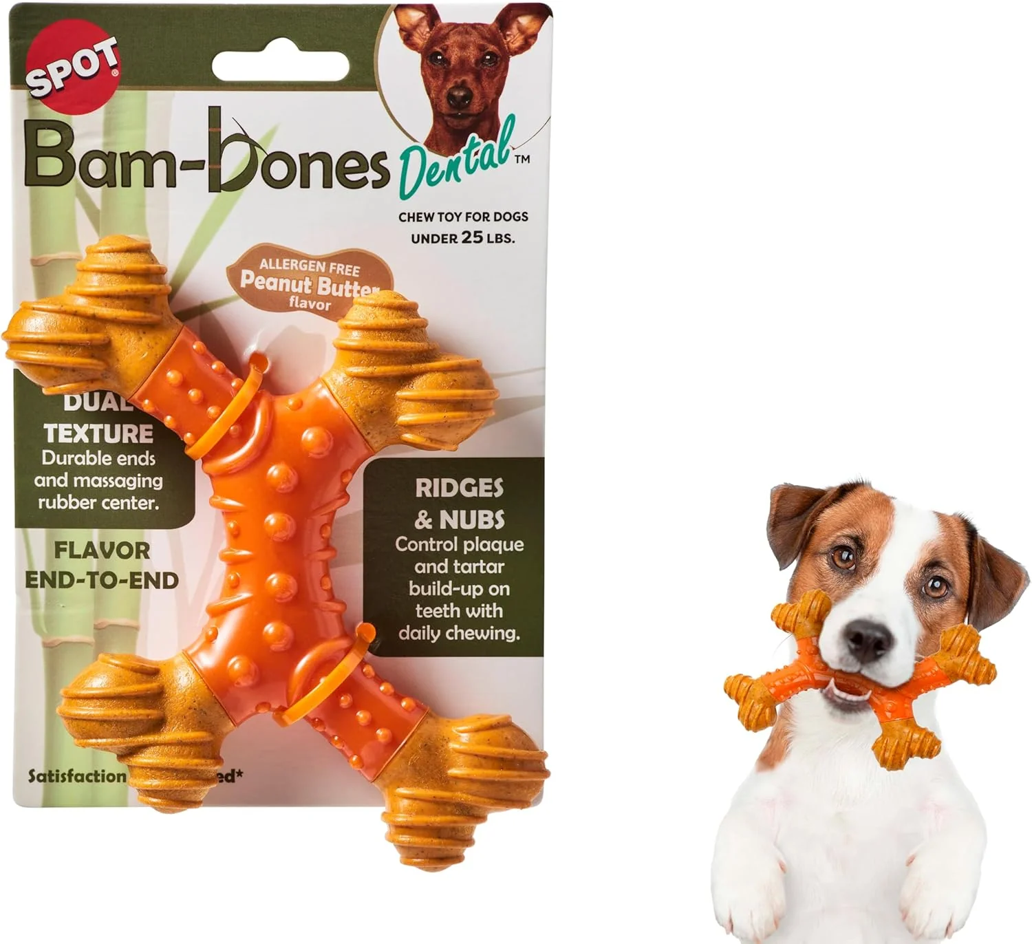 SPOT Bam-Bones Dental Bone - Made with Bamboo Fiber and a Massaging Rubber Center, Durable Oral Care Dog Chew for Light Chewers & Teething Puppies Under 25lbs, Allergen Free Peanut Butter Flavor - Image 8