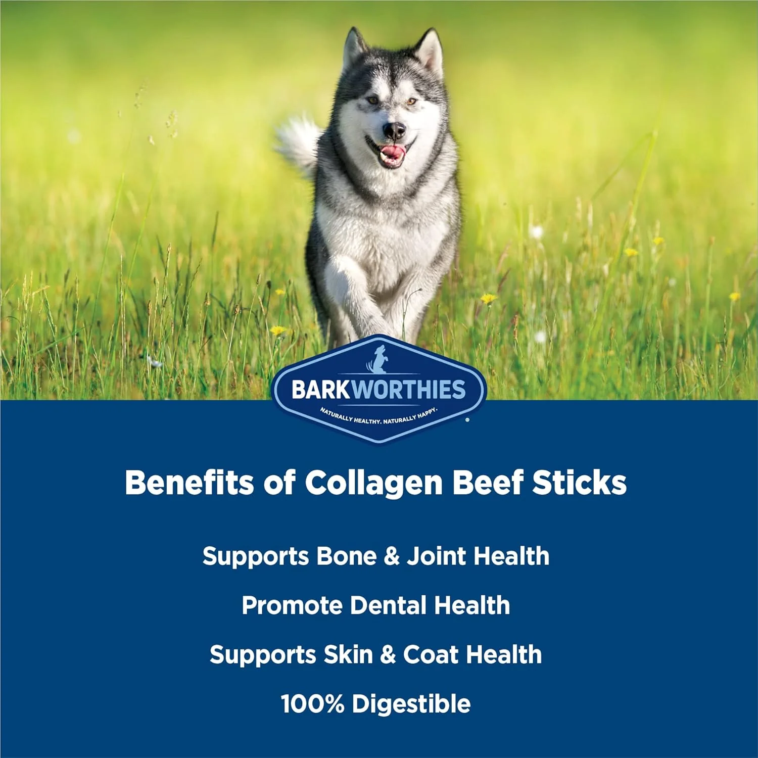 Barkworthies Chicken Wrapped Collagen Sticks - Palatable, Durable Snack - Image 2