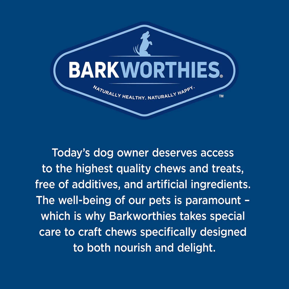 Barkworthies Knuckle Bone Beef Fillet Dog Chew for Medium & Large Breed Dogs - Image 3