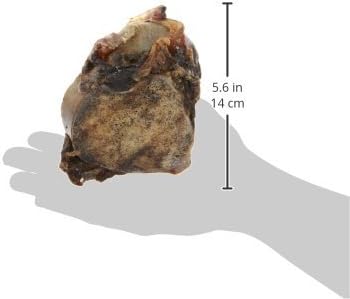 Barkworthies Knuckle Bone Beef Fillet Dog Chew for Medium & Large Breed Dogs - Image 6