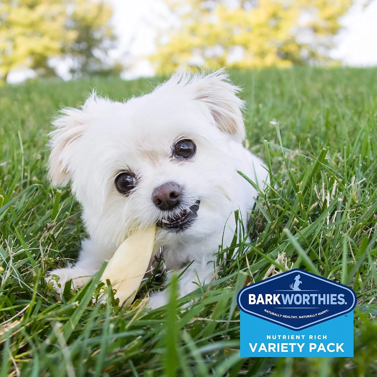 Barkworthies Puppy Variety Pack - 5 Count (Pack of 1) - Protein-Rich, All-Natural, Easily Digestible, Rawhide Alternative, Promotes Dental Health - Image 7