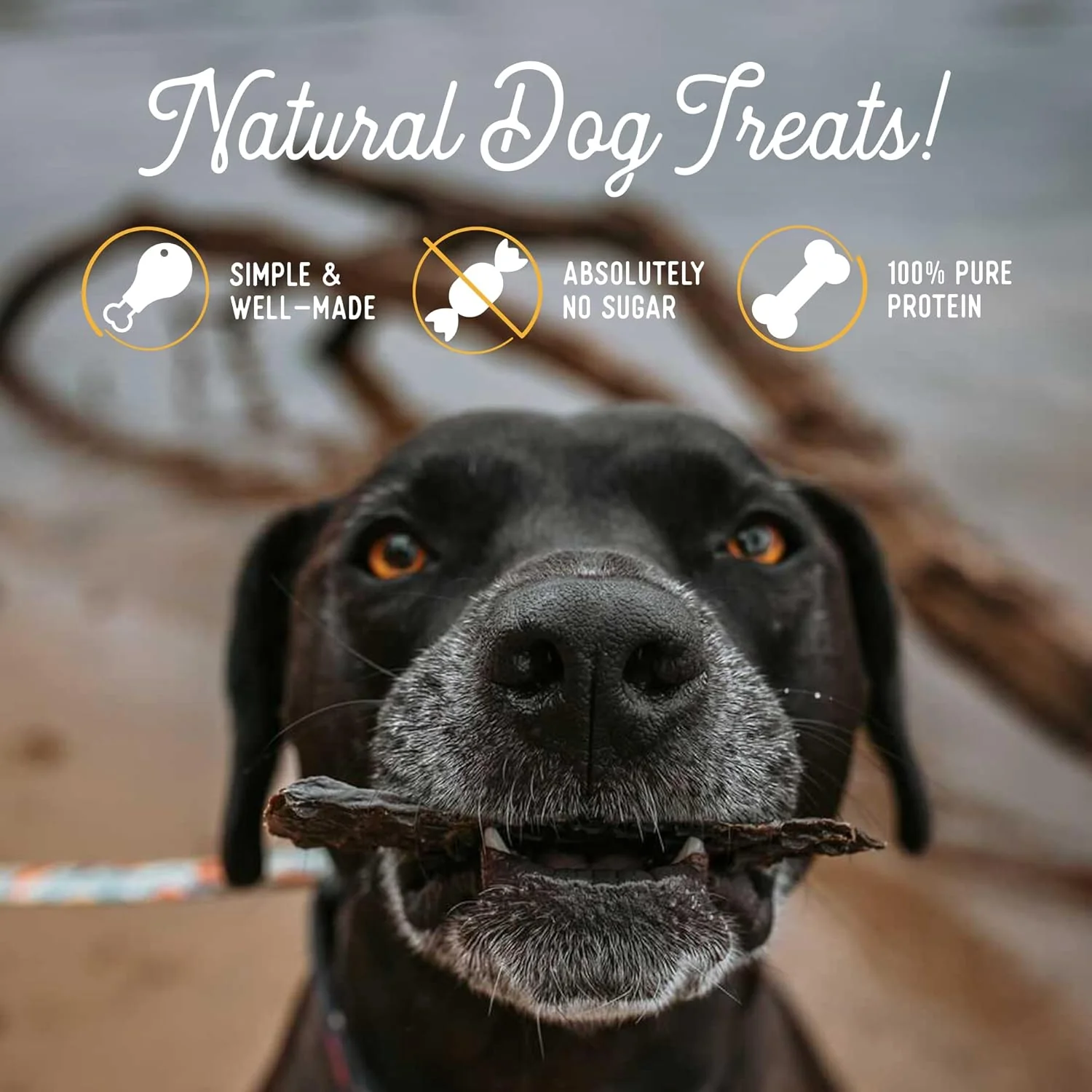 Beg & Barker Beef Liver Jerky for Dogs - Dog Training Treats - Natural Dog Treats Made in The USA - Grain Free, Diabetic-Friendly, High Protein, Sugar-Free - Image 5