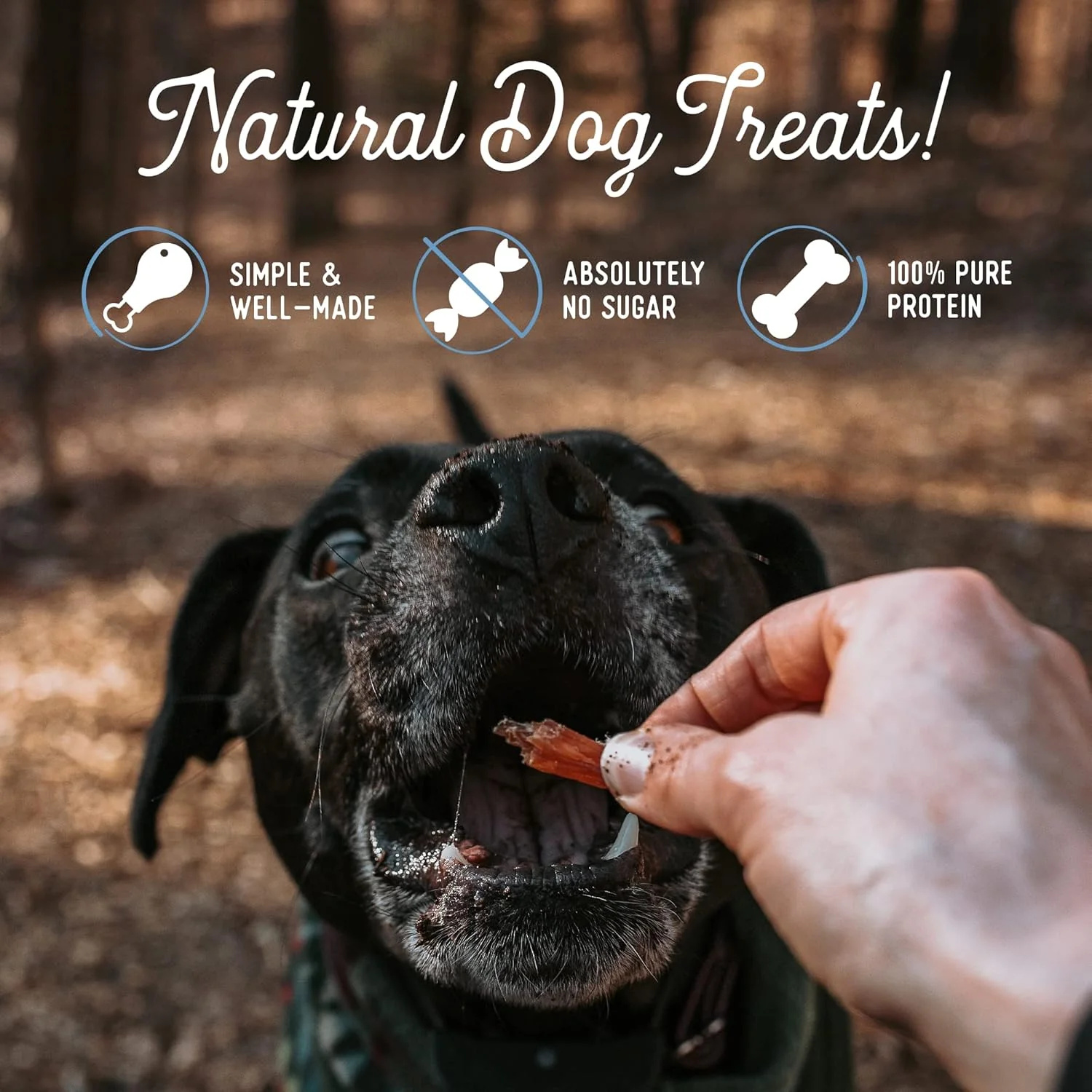 Beg & Barker Pork Jerky for Dogs - Dog Training Treats - Natural Dog Treats Made in The USA - Grain Free, Diabetic-Friendly, High Protein, Sugar-Free (Pork Dog Jerky) - Image 7