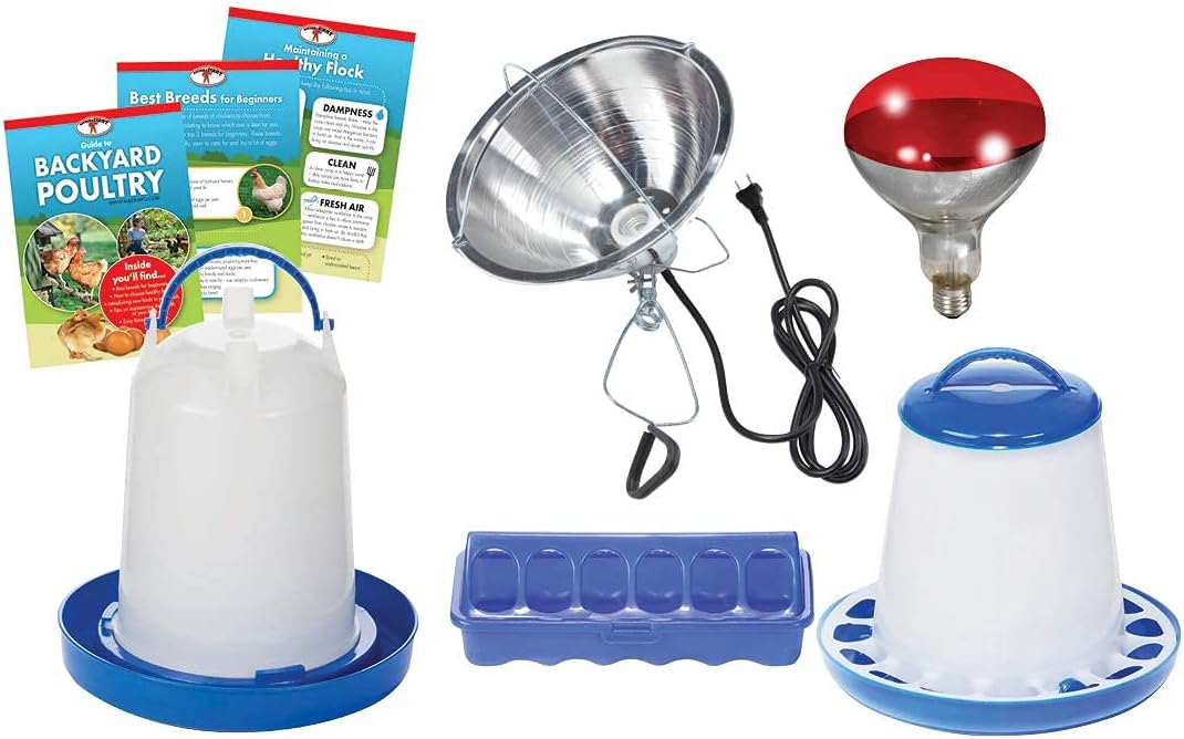 Beginner Poultry Kit - Image 2