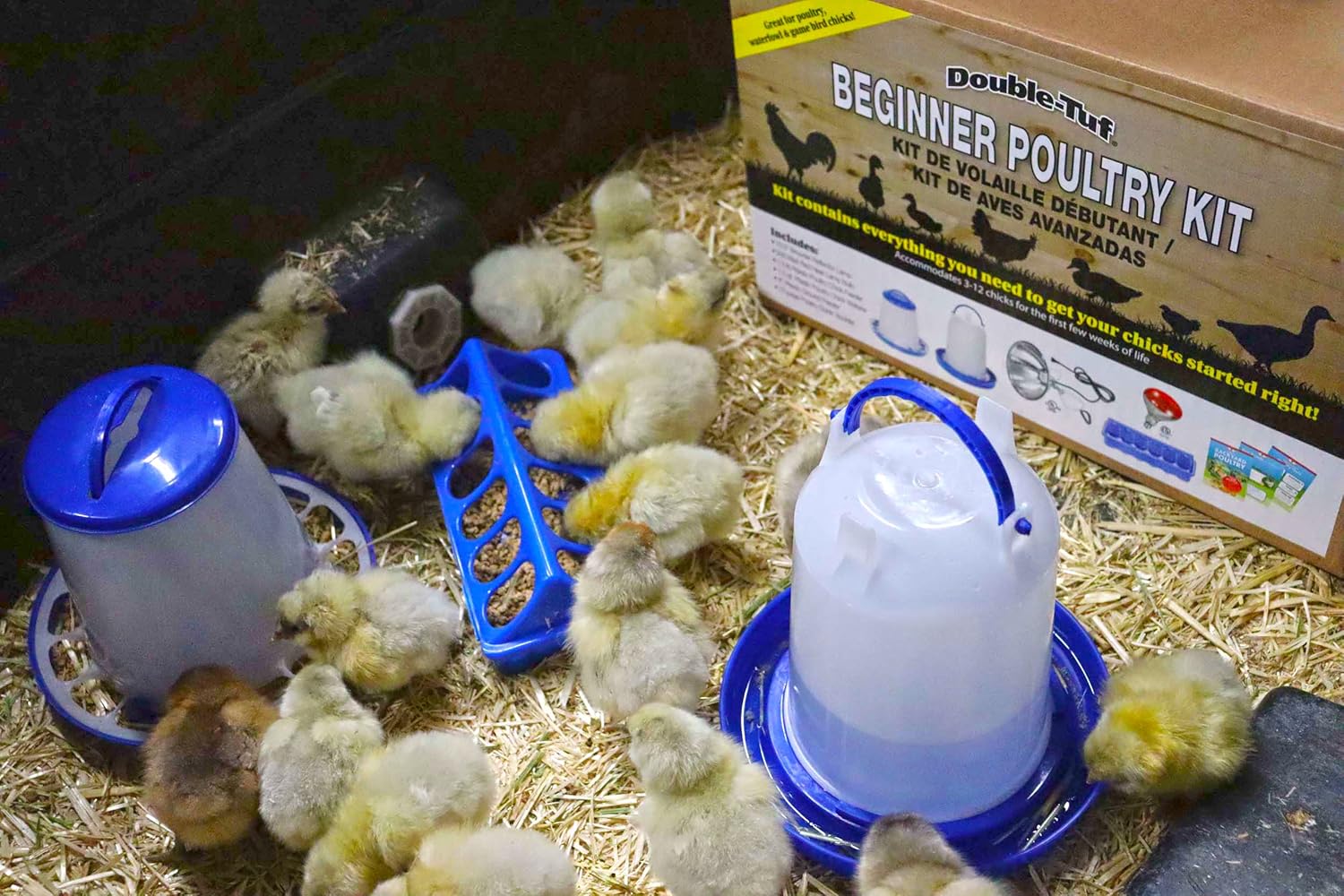 Beginner Poultry Kit - Image 3