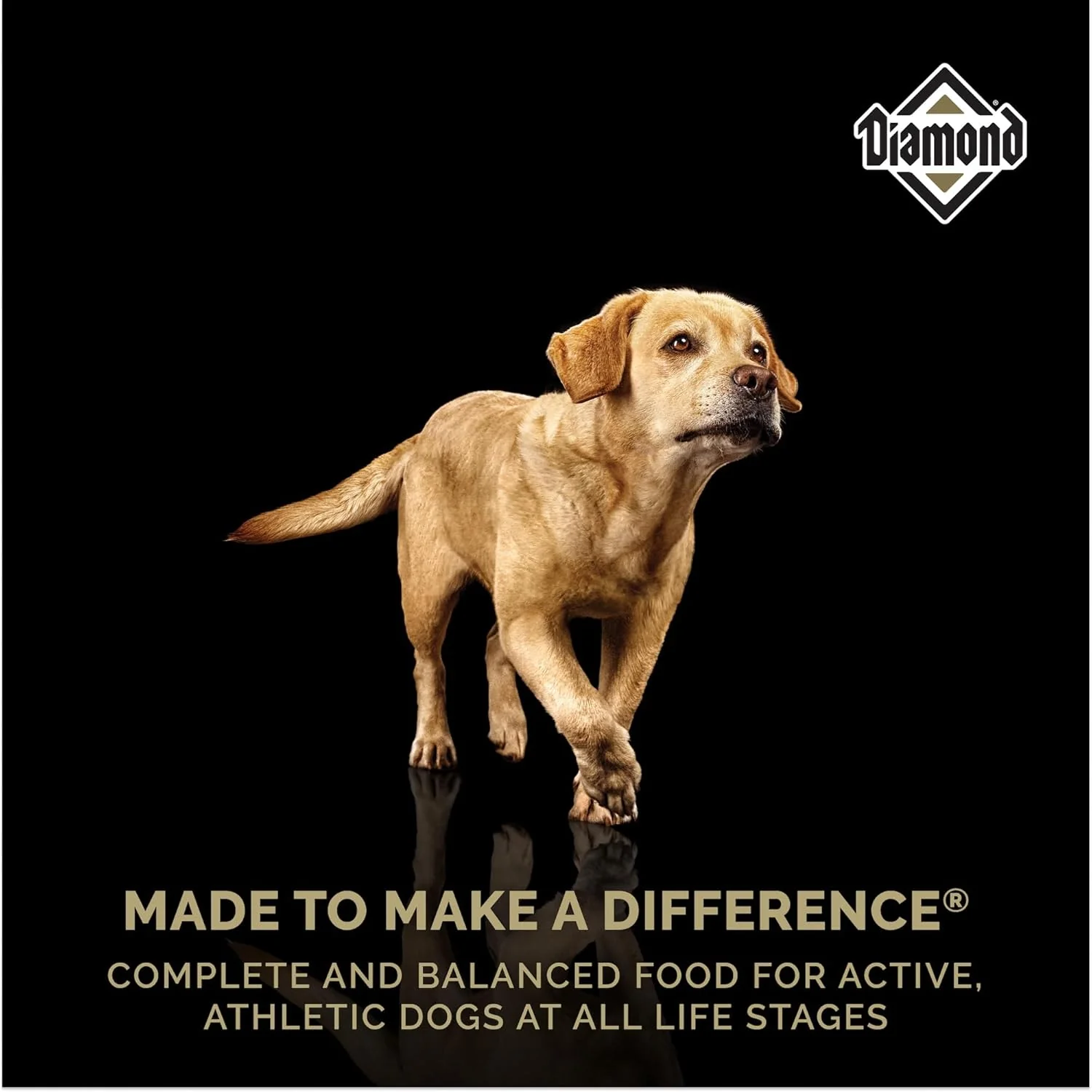 BENEBONE DOG BOUNCE RUBBER BONE MEDIUM - Image 6