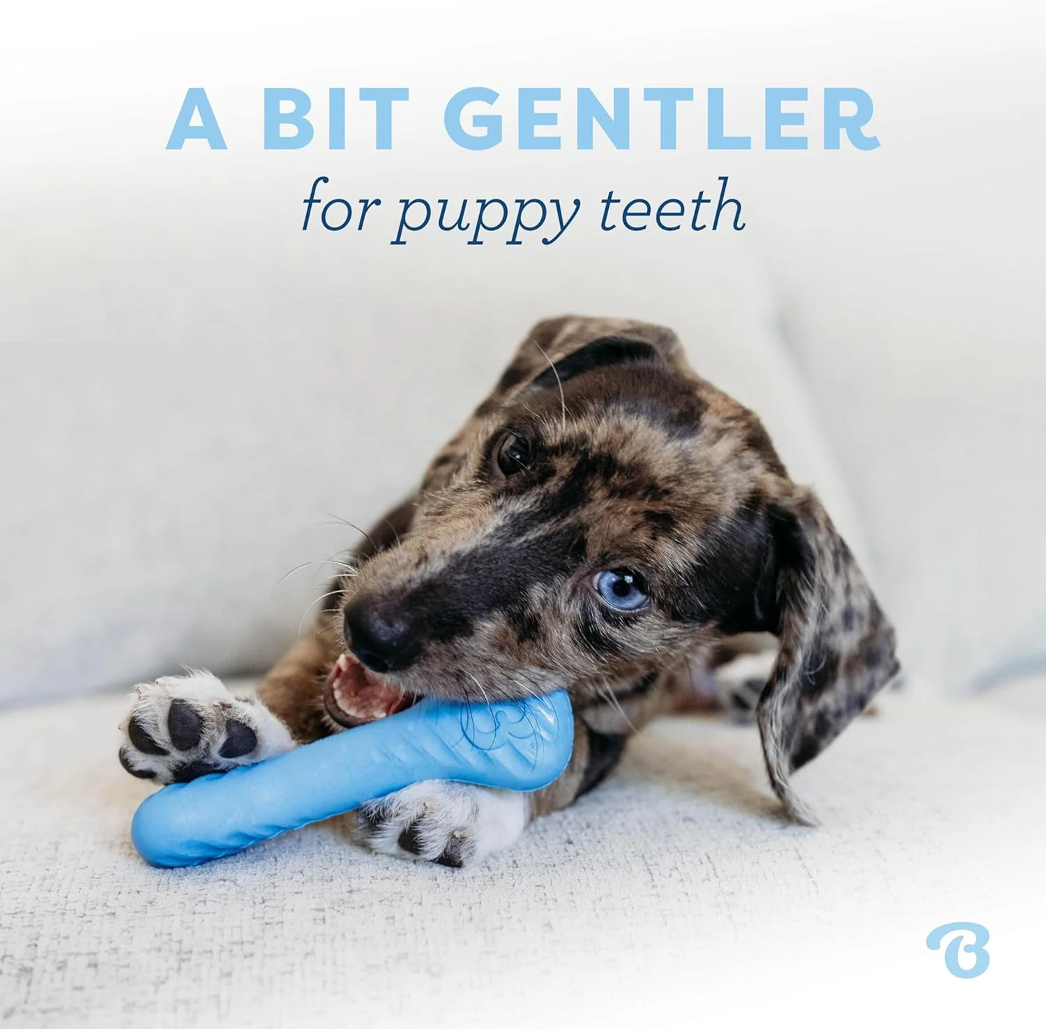 Benebone Puppy 2-Pack Rubber Bone/Wishbone Bacon Tiny - Image 2