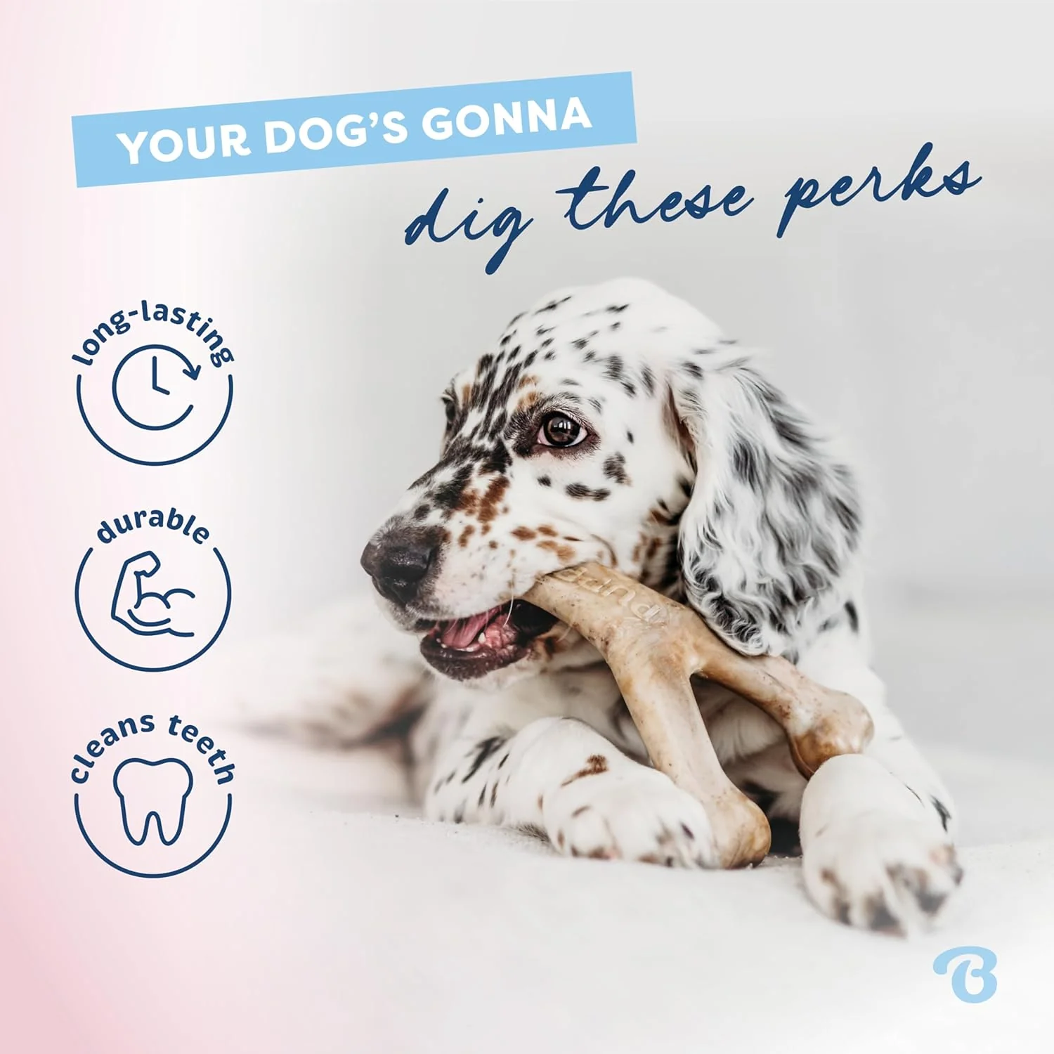 Benebone Puppy 2-Pack Rubber Bone/Wishbone Bacon Tiny - Image 3