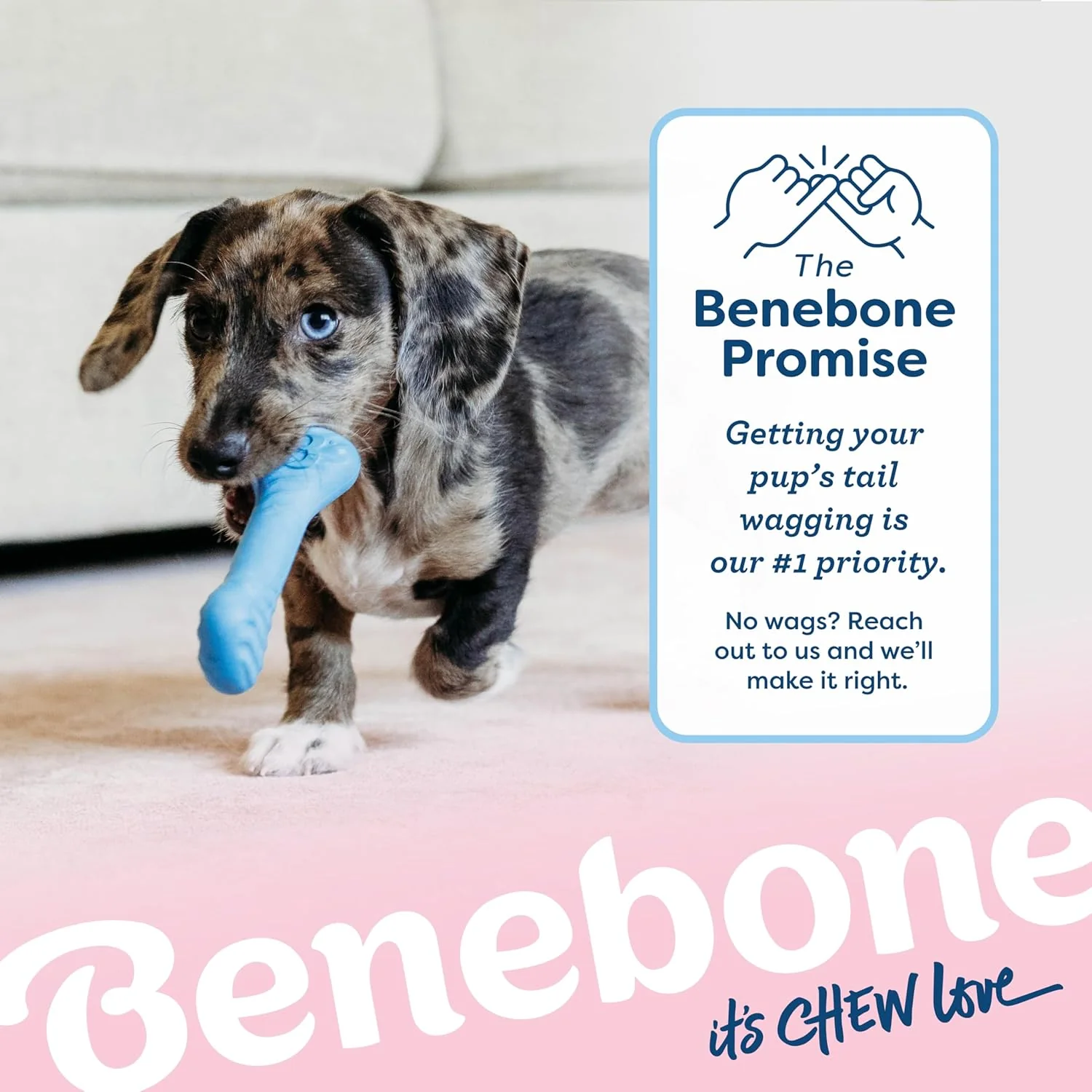 Benebone Puppy 2-Pack Rubber Bone/Wishbone Bacon Tiny - Image 4