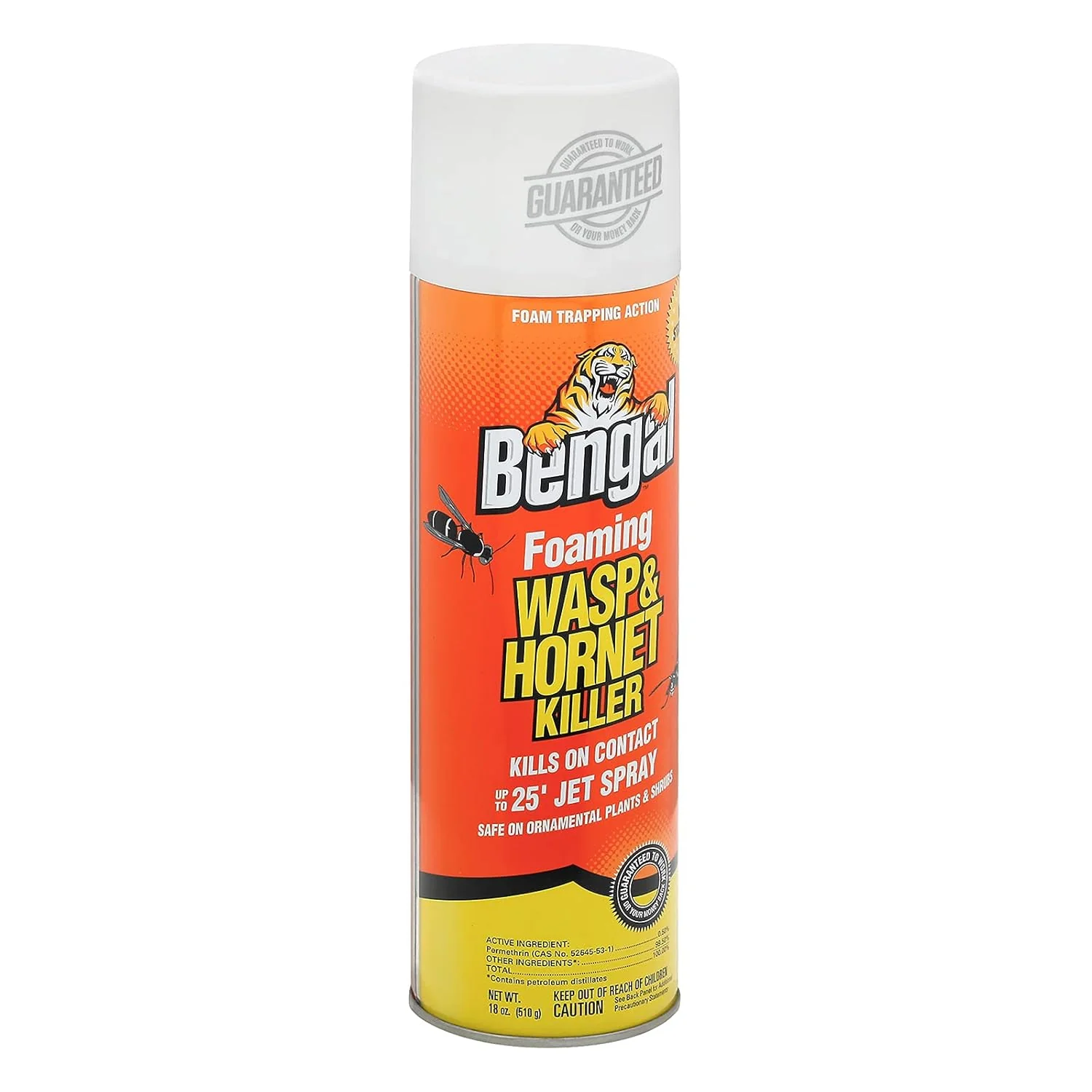 Bengal® Foaming Wasp & Hornet Killer 16oz - Image 2