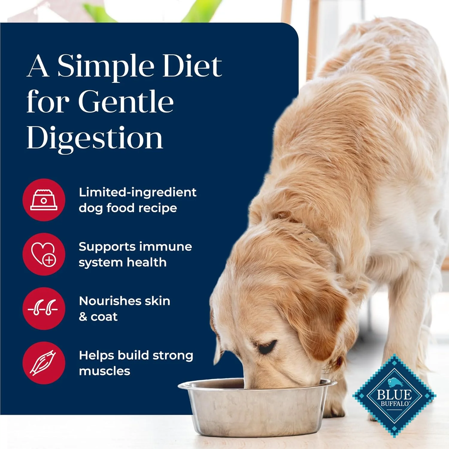Blue Buffalo Basics Grain-Free Dry Dog Food for Adult Dogs, Limited Ingredient Diet, Salmon Recipe - Image 4