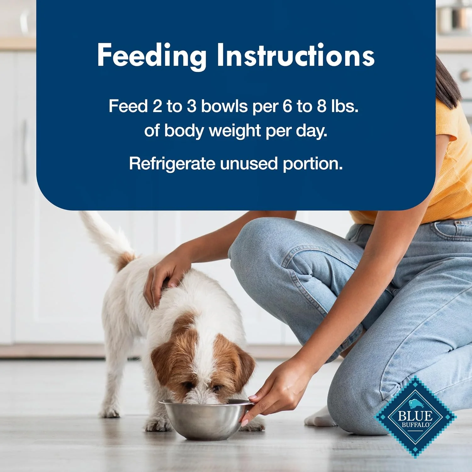 Blue Buffalo Delights Natural Adult Small Breed Wet Dog Food, Variety Pack, Made with Natural Ingredients, Filet Mignon & New York Strip Recipe in Hearty Gravy - Image 8