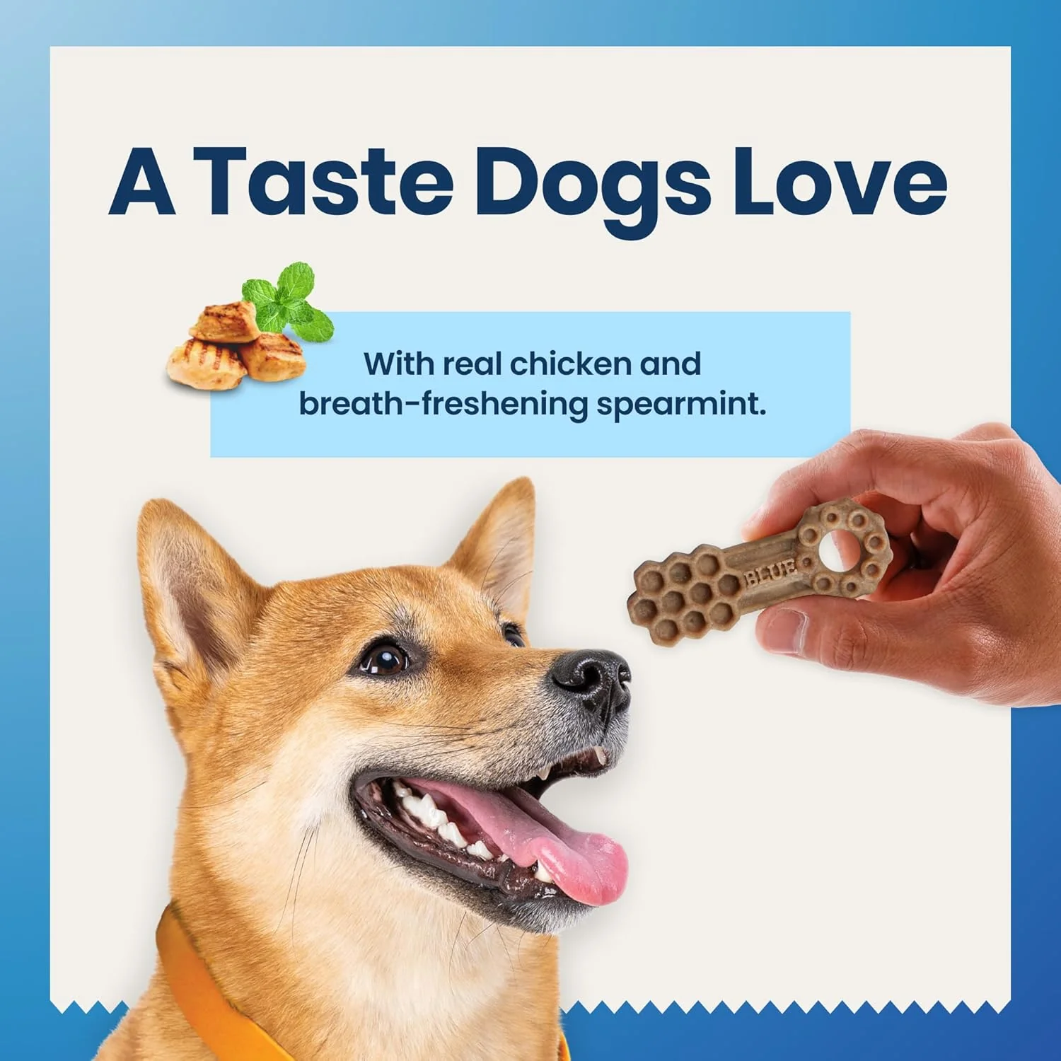 Blue Buffalo Dental Chews Small Natural Dog Treats, Chicken & Spearmint - Image 6