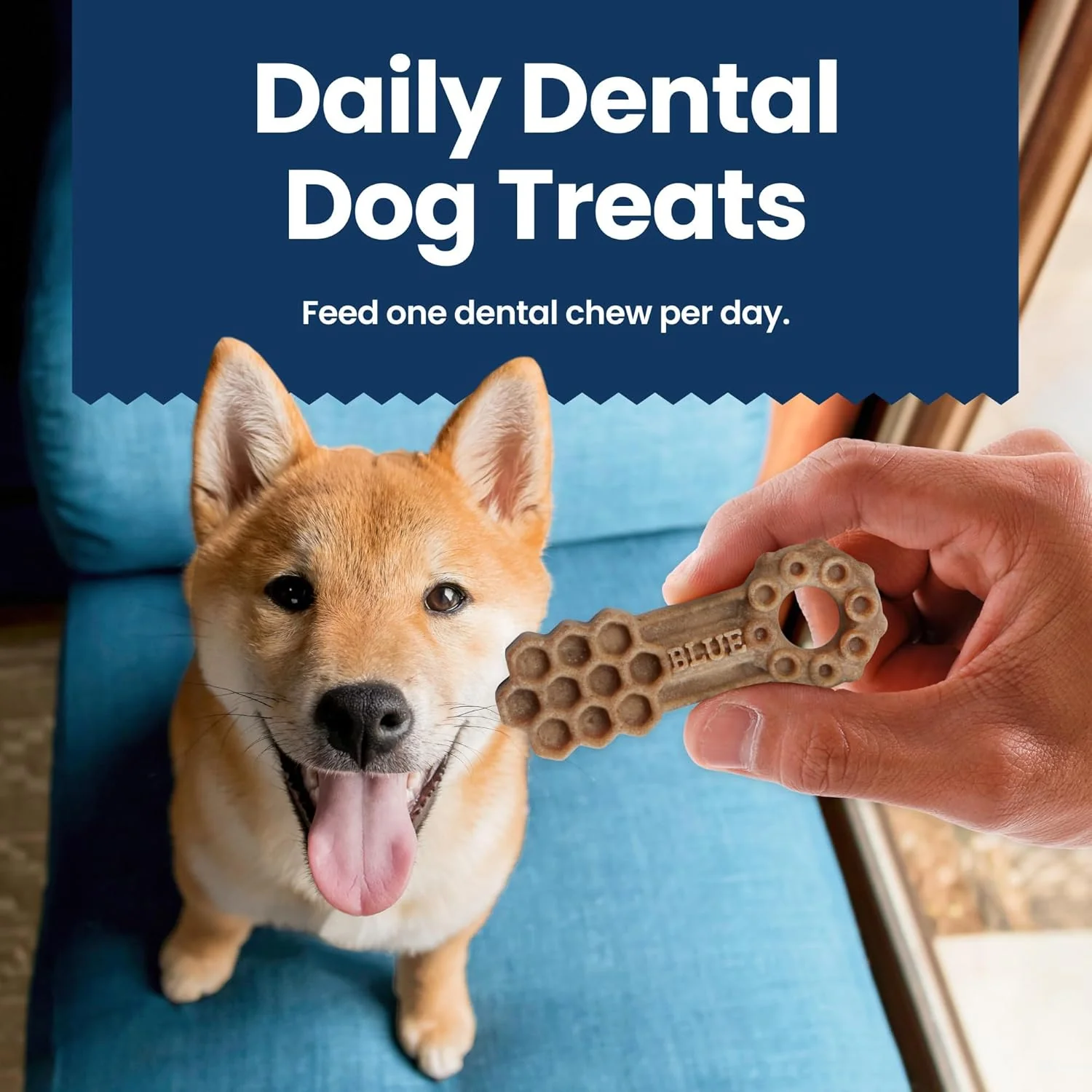 Blue Buffalo Dental Chews Small Natural Dog Treats, Chicken & Spearmint - Image 7