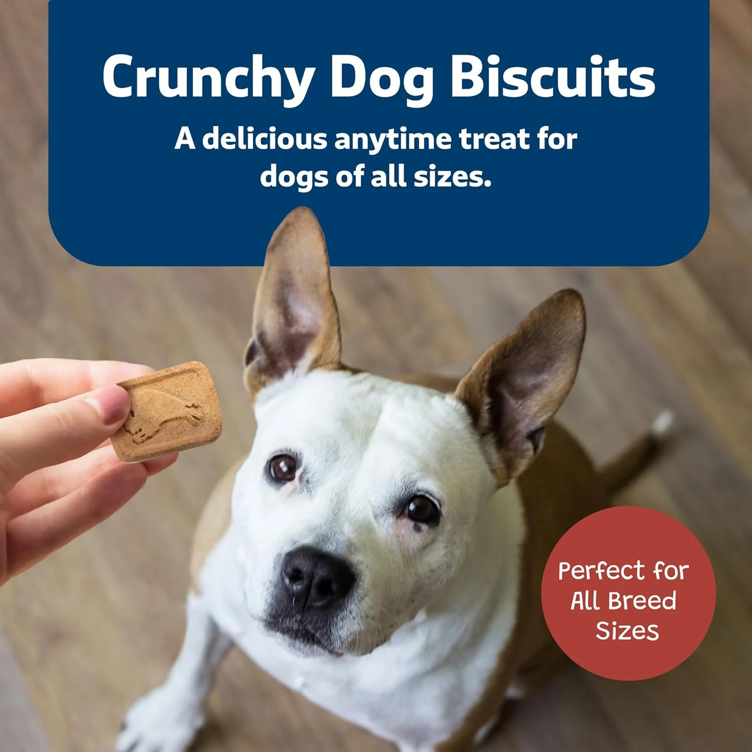 Blue Buffalo Health Bars Crunchy Dog Biscuits, Oven-Baked With Natural Ingredients, Beef - Image 4
