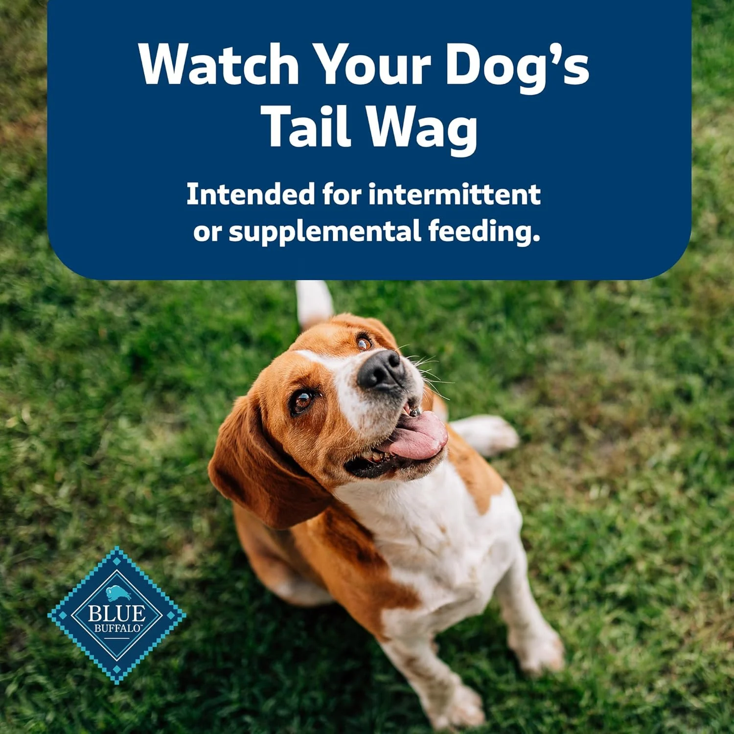 Blue Buffalo Health Bars Crunchy Dog Biscuits, Oven-Baked With Natural Ingredients, Beef - Image 8