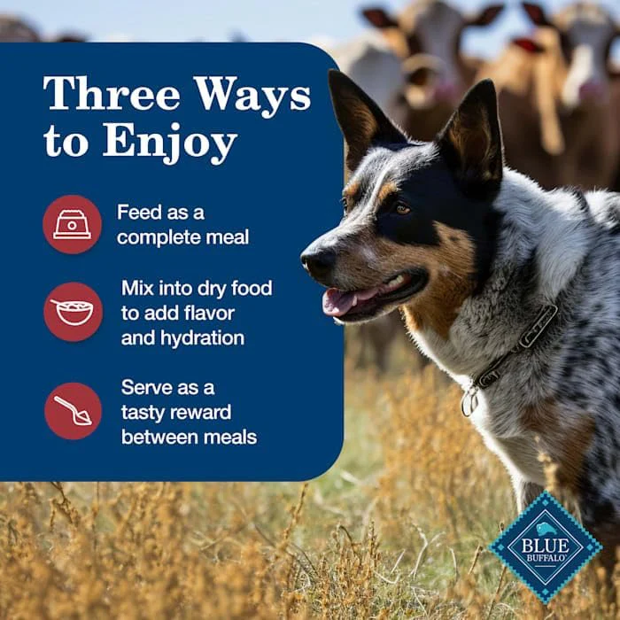 Blue Buffalo Homestyle Recipe Adult Wet Dog Food, Made with Natural Ingredients, Chicken and Beef Dinner Variety Pack - Image 6