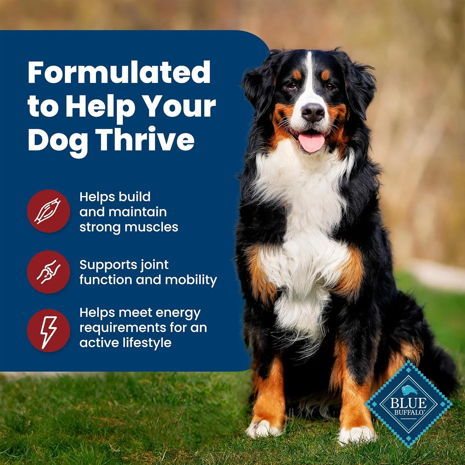 Blue Buffalo Life Protection Formula Adult Dry Dog Food, Helps Build and Maintain Strong Muscles, Made with Natural Ingredients, Beef & Brown Rice Recipe - Image 4