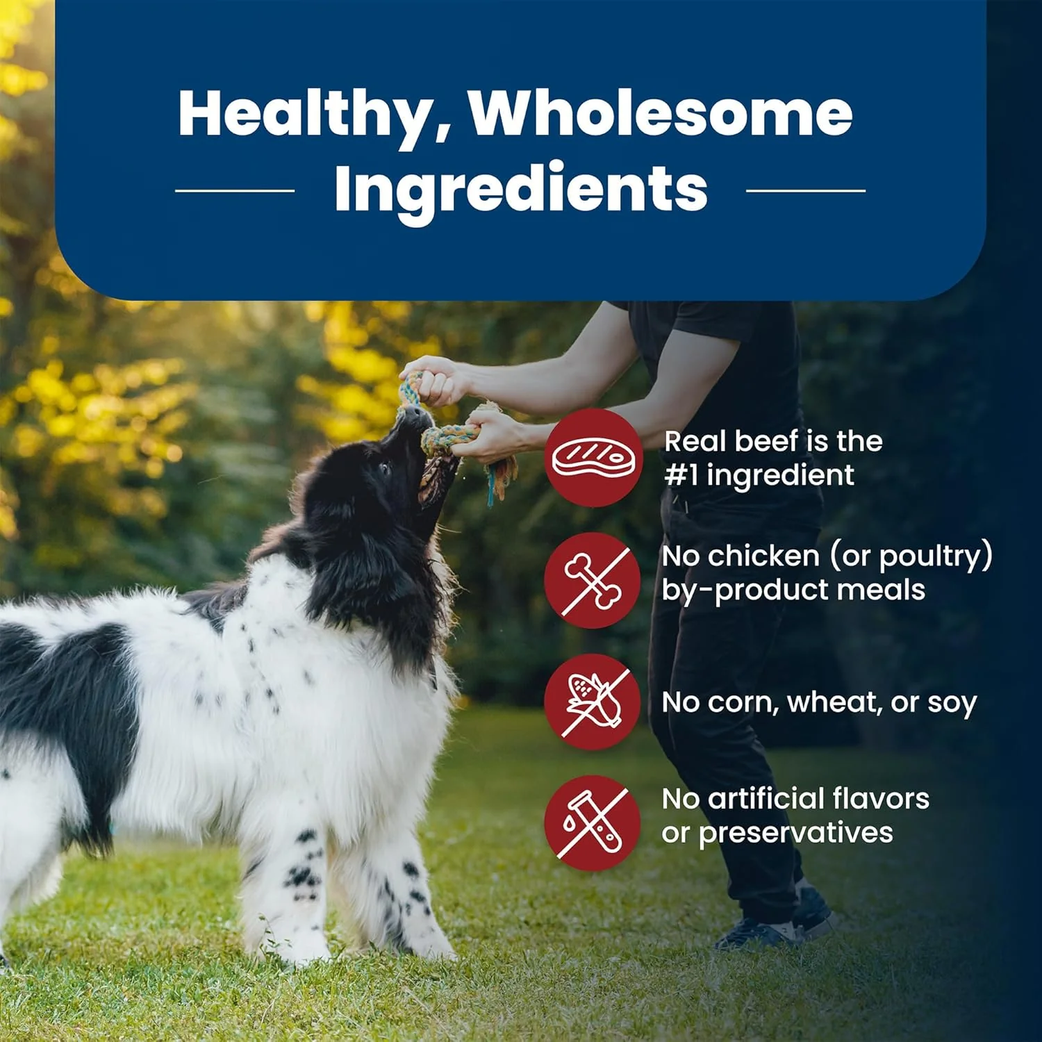 Blue Buffalo Life Protection Formula Adult Dry Dog Food, Helps Build and Maintain Strong Muscles, Made with Natural Ingredients, Beef & Brown Rice Recipe - Image 6