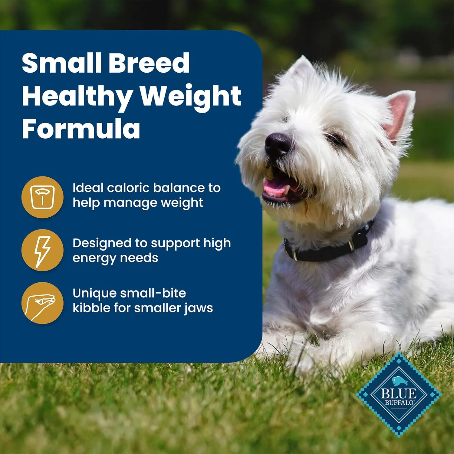 Blue Buffalo Life Protection Formula Healthy Weight Natural Small Breed Dry Dog Food, Supports an Ideal Weight, Made with Natural Ingredients, Chicken & Brown Rice Recipe - Image 5