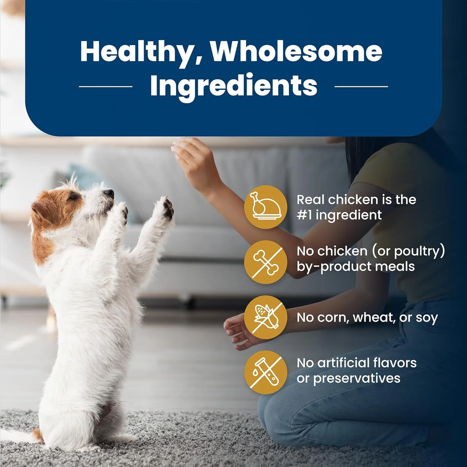 Blue Buffalo Life Protection Formula Healthy Weight Natural Small Breed Dry Dog Food, Supports an Ideal Weight, Made with Natural Ingredients, Chicken & Brown Rice Recipe - Image 7