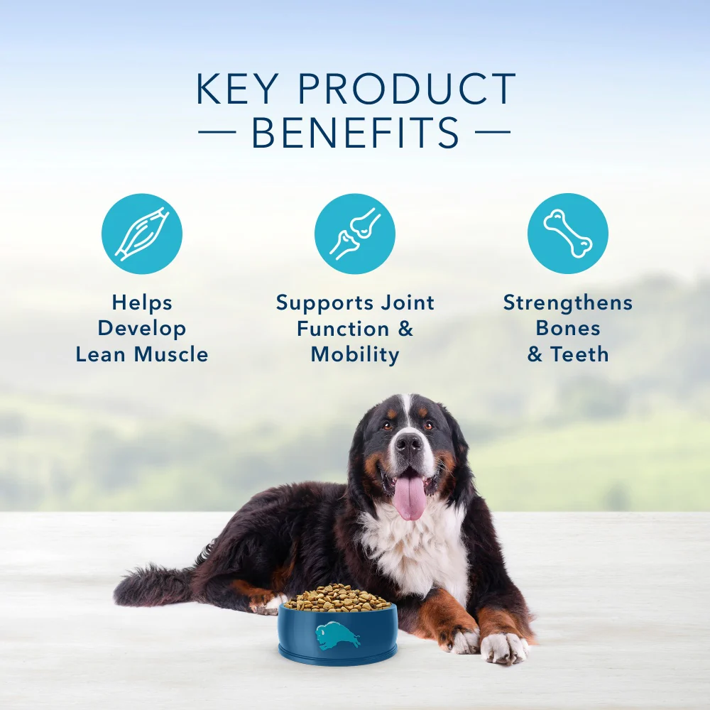 Blue Buffalo Life Protection Formula Large Breed Adult Dry Dog Food, Promotes Joint Health and Lean Muscles, Made with Natural Ingredients, Chicken & Brown Rice Recipe - Image 5