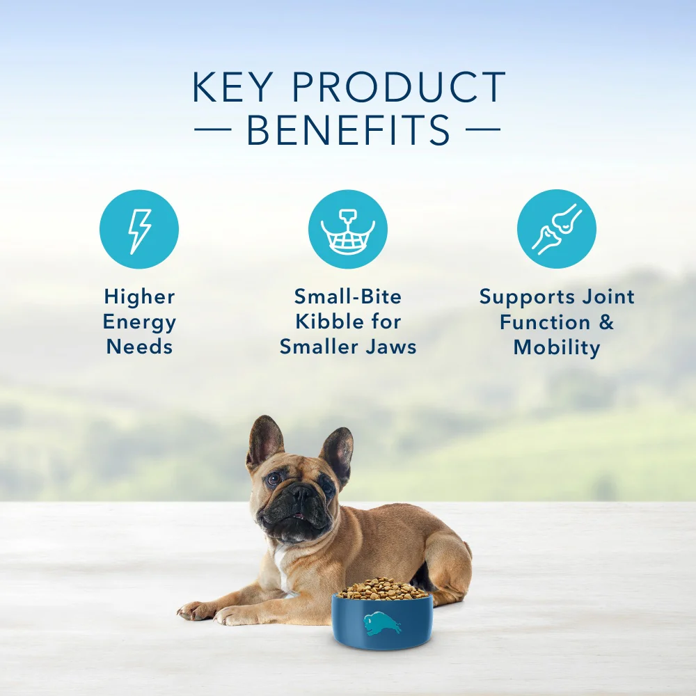 Blue Buffalo Life Protection Formula Adult Small Breed Dry Dog Food, Supports High Energy Needs, Made with Natural Ingredients, Chicken & Brown Rice Recipe - Image 5