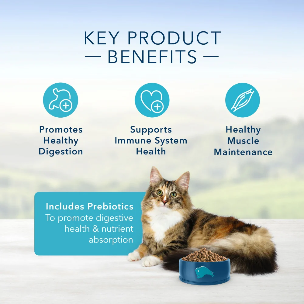 Blue Buffalo Tastefuls Natural Dry Food for Adult Cats, Sensitive Stomach, Chicken & Brown Rice Recipe - Image 3