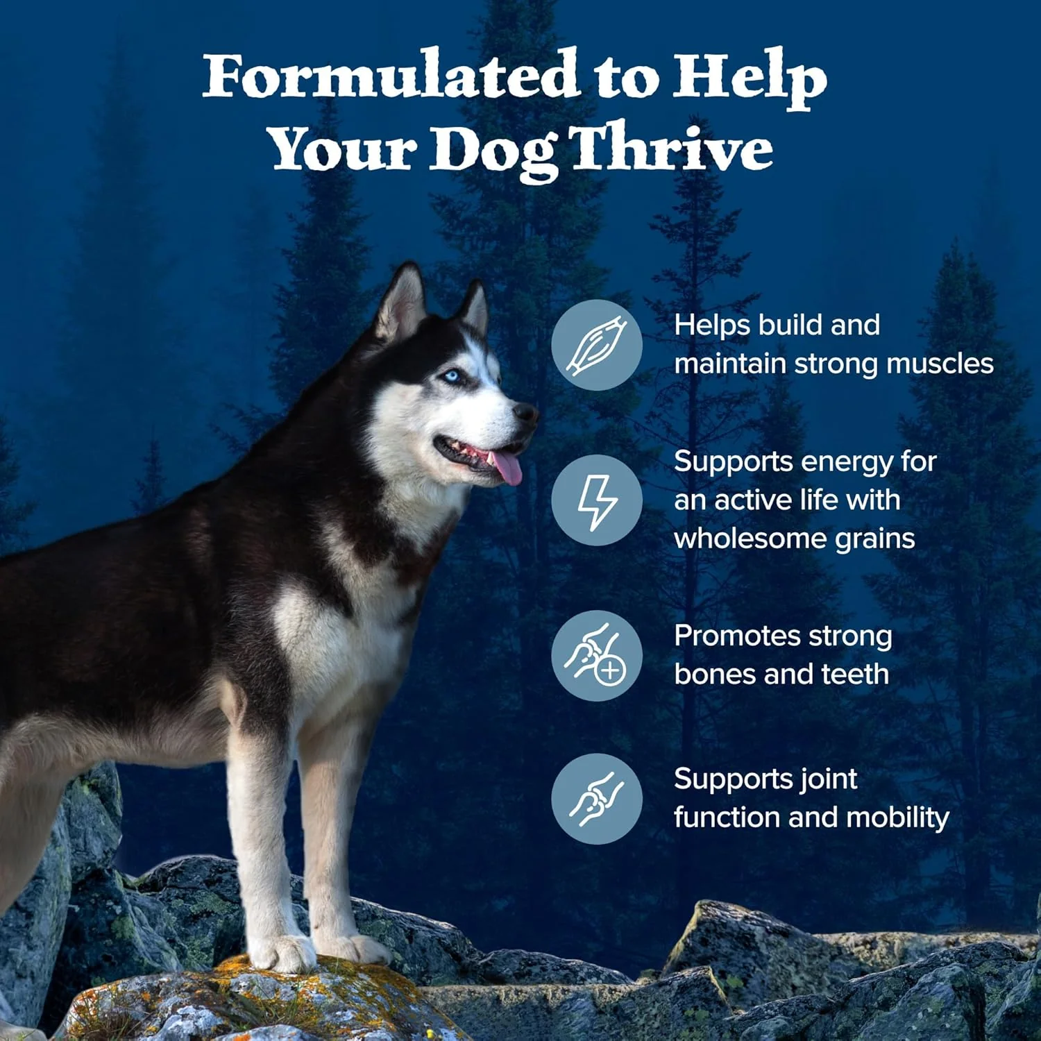 Blue Buffalo Wilderness Adult High-Protein Dry Dog Food Wholesome Grains Natural Ingredients - Image 5