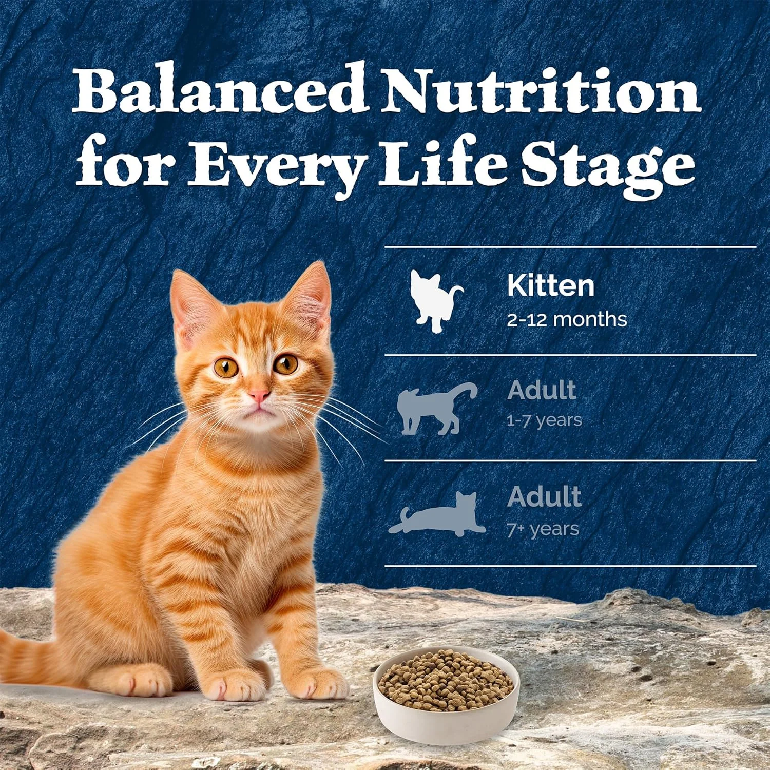 Blue Buffalo Wilderness Natural Kitten Dry Cat Food, with DHA and ARA to Support Brain and Eye Development, High-Protein and Grain-Free Diet, Chicken - Image 10