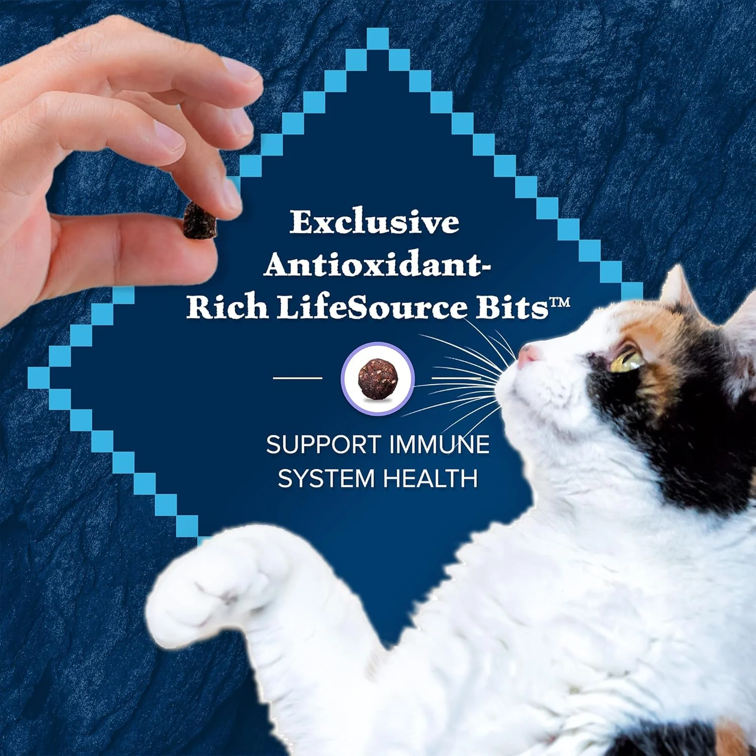 Blue Buffalo Wilderness Natural Kitten Dry Cat Food, with DHA and ARA to Support Brain and Eye Development, High-Protein and Grain-Free Diet, Chicken - Image 9