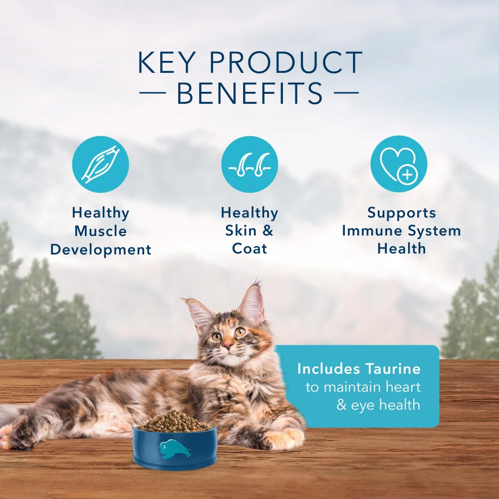 Blue Buffalo Wilderness Natural Adult Dry Cat Food, High-Protein and Grain-Free Diet, Supports Healthy Muscle Development and a Healthy Immune System, Salmon - Image 4