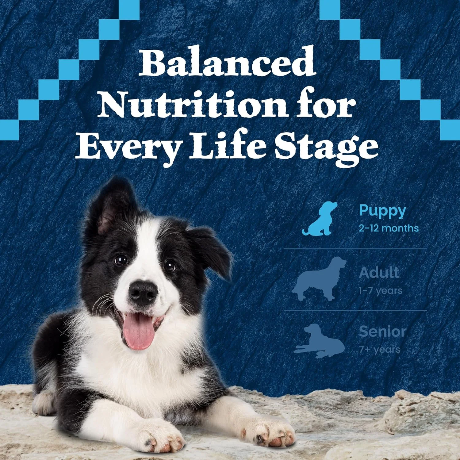 Blue Buffalo Wilderness High-Protein Rocky Mountain Recipe Dry Food for Puppies, Red Meat & Grains - Image 8