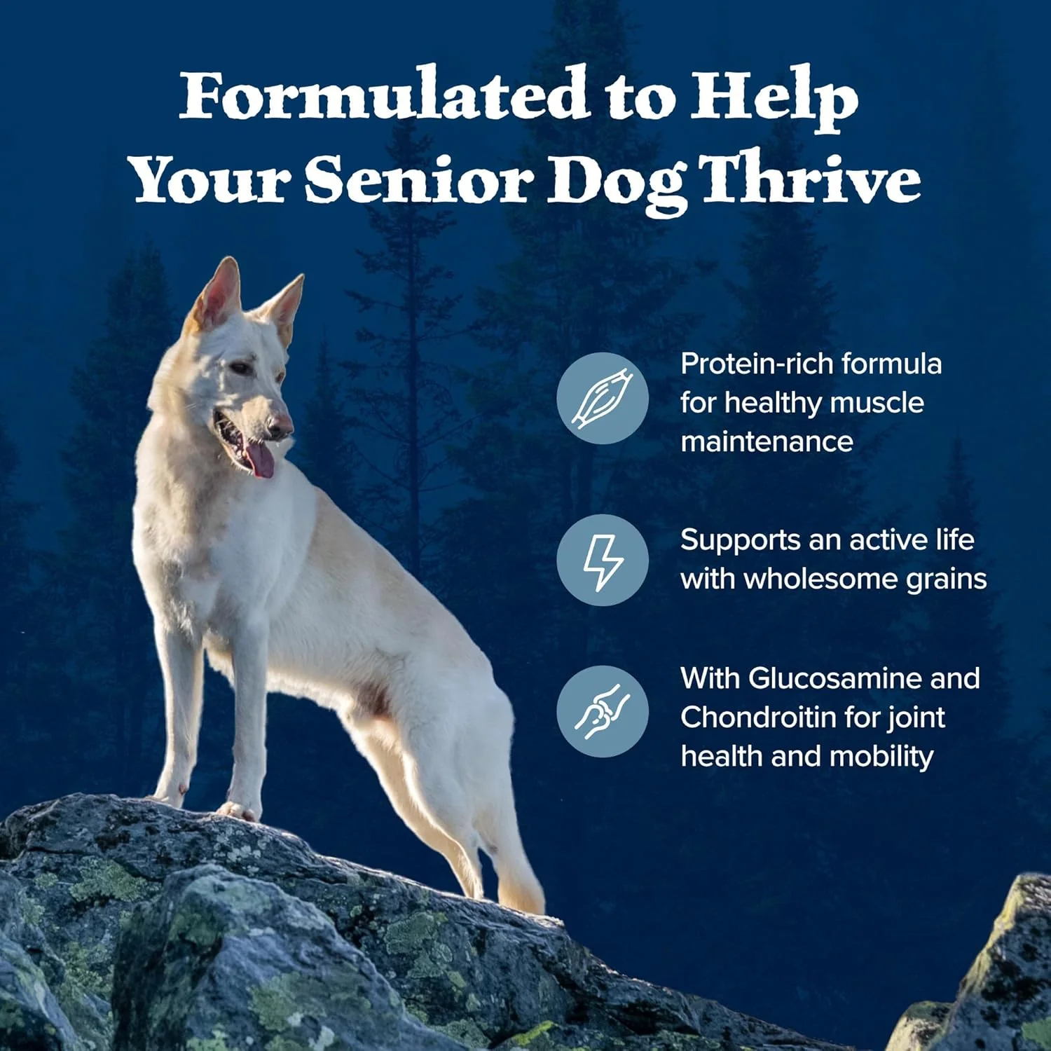 Blue Buffalo Wilderness Senior High Protein Dry Dog Food Wholesome Grains with Ingredients Chicken - Image 5
