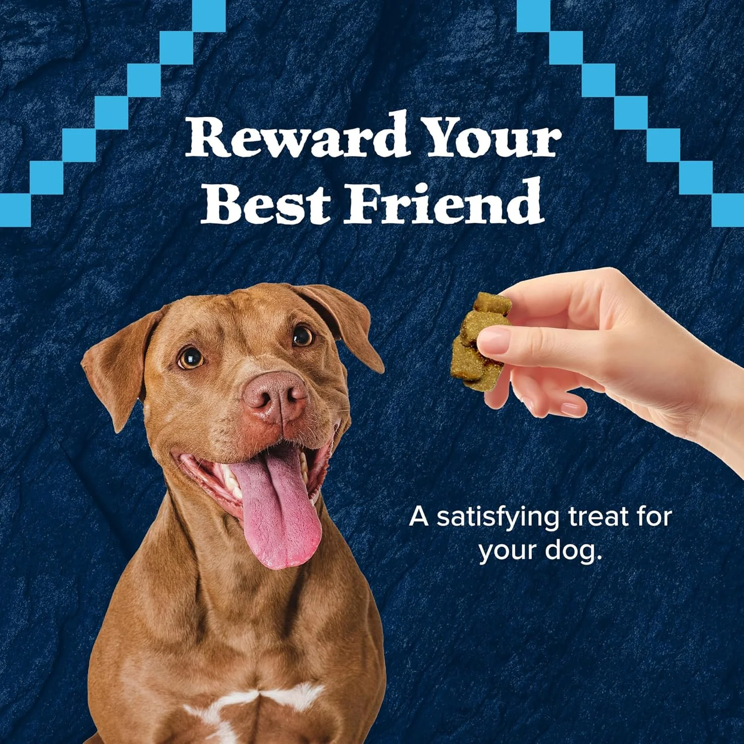 Blue Buffalo Wilderness Wild Bits Soft & Chewy Training Treats for Dogs, Grain-Free, Salmon Recipe - Image 4