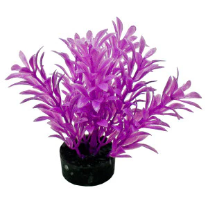 Blue Ribbon Pet Products Colorburst Florals Exotic Mini Plant - Image 6