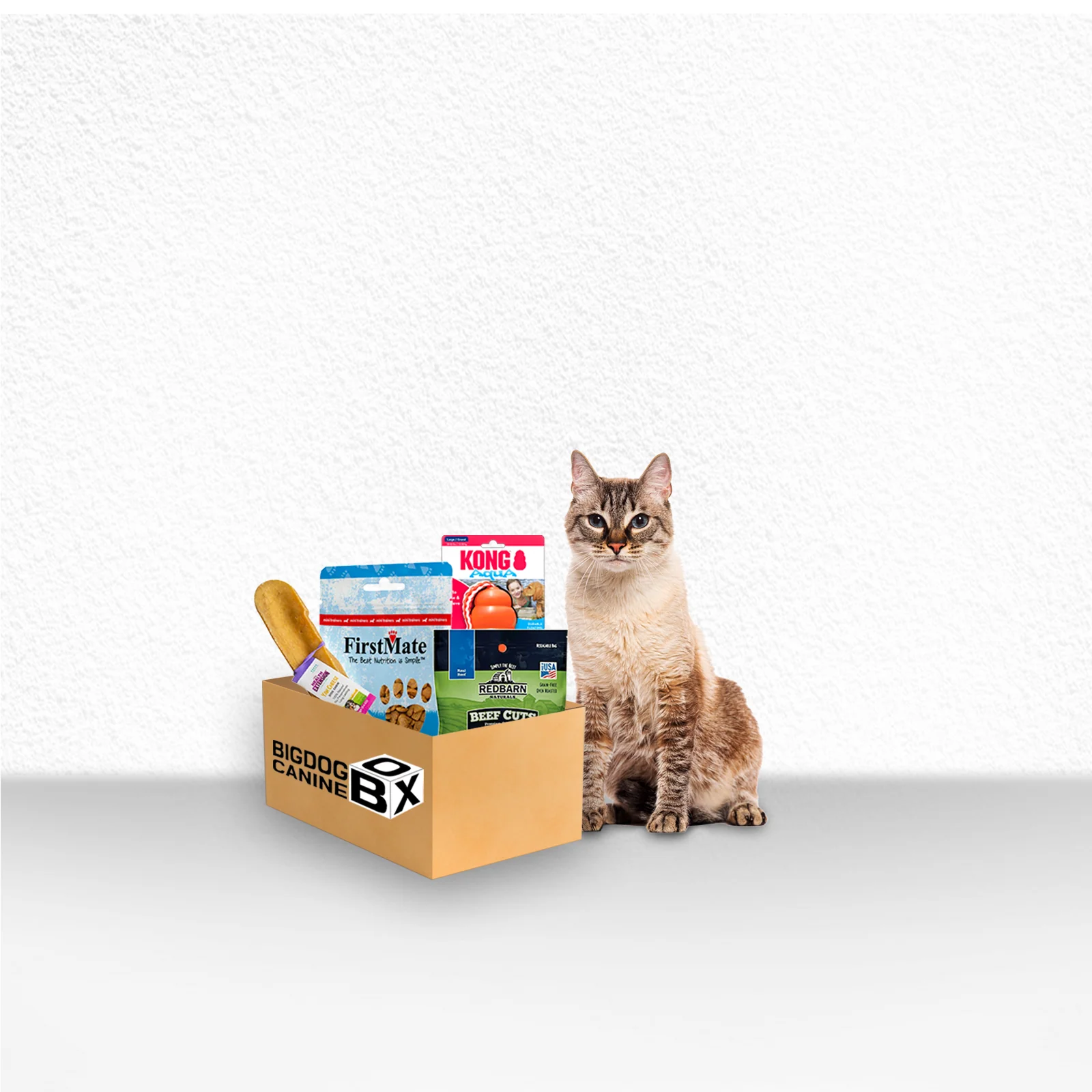 Big Dog Feline Cat Box - Ultimate New Surprising Treat & Toys for Cats Every Time You Order - Image 7