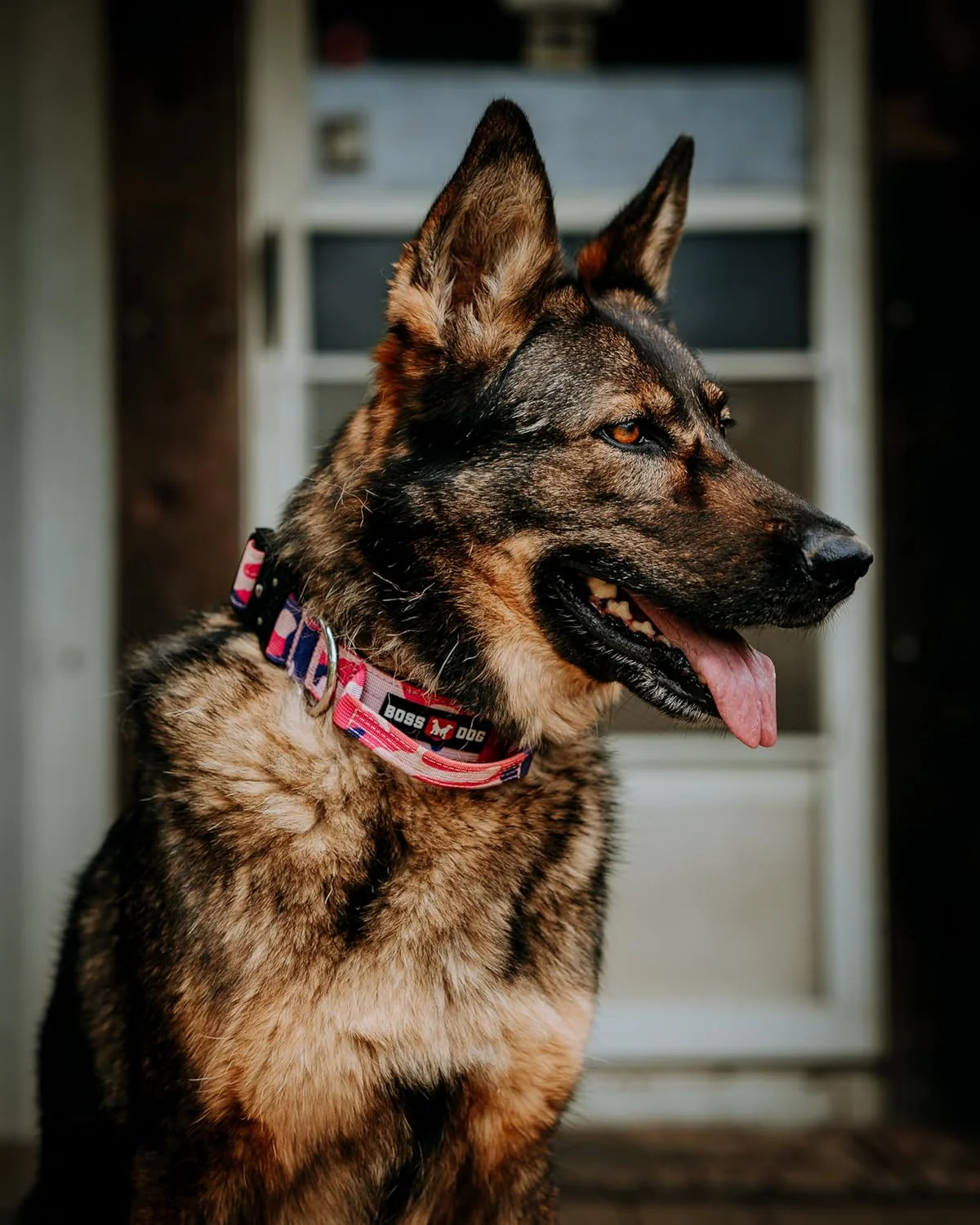 Boss Dog Tactical Adjustable Collar, Pink Camo - Image 2